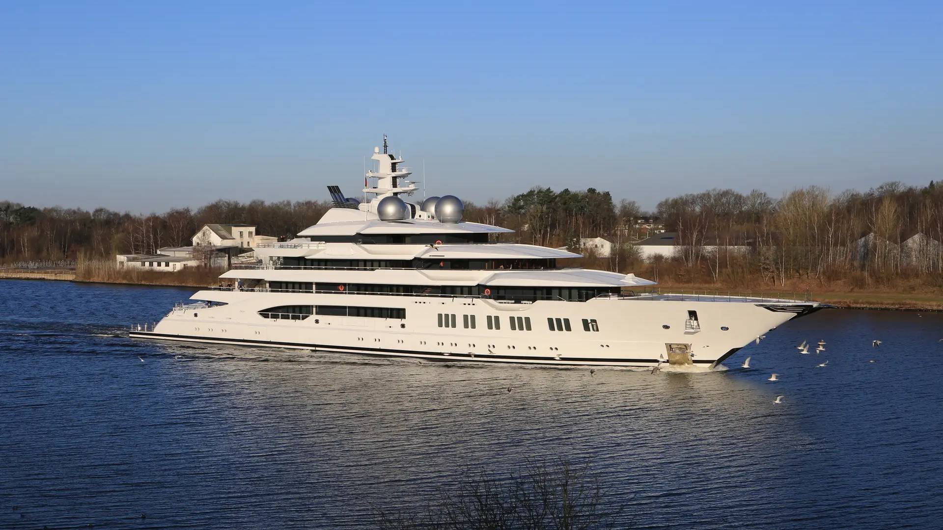 Amadea