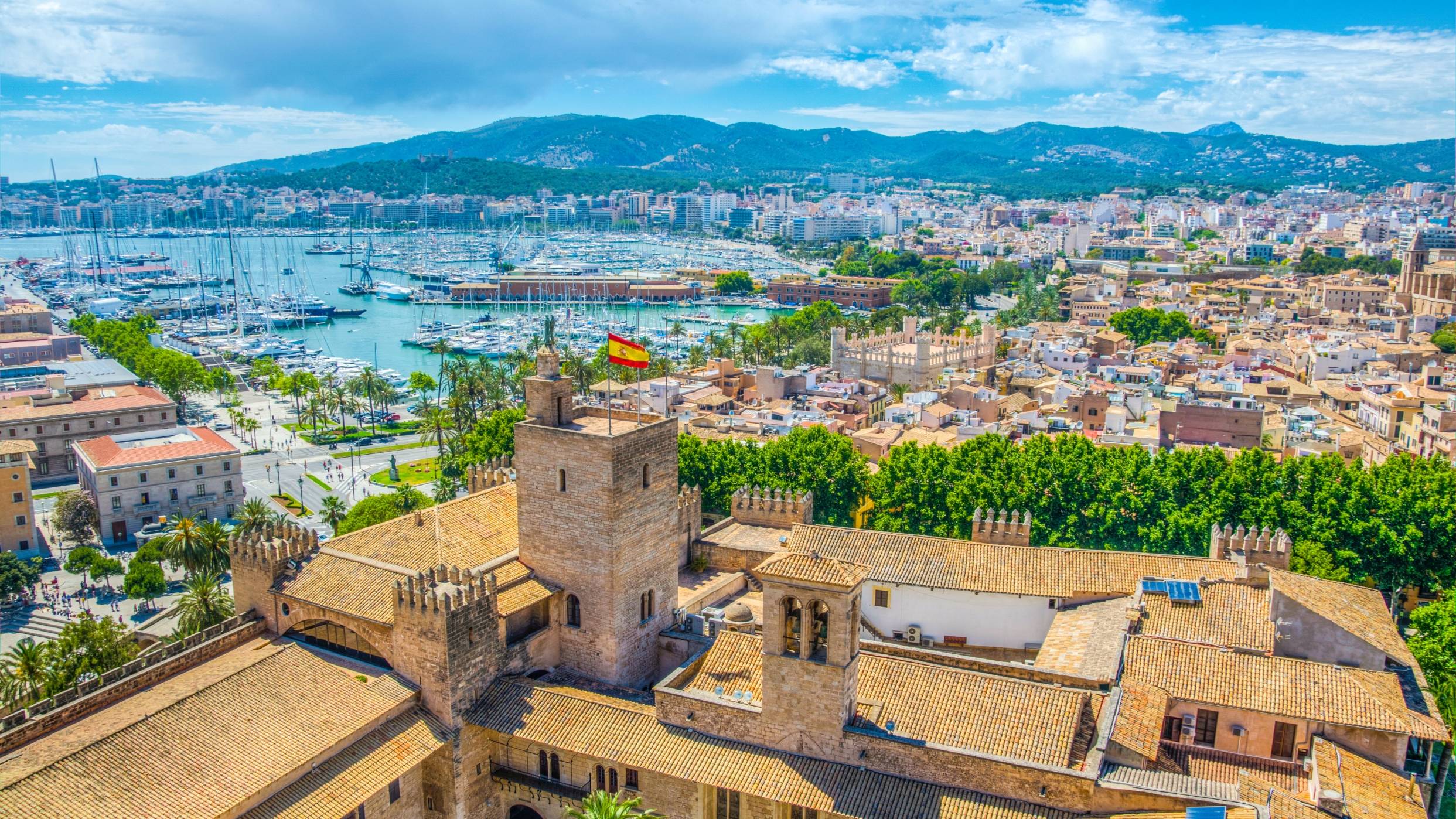 Yachts at the Palma Yacht Show 2025