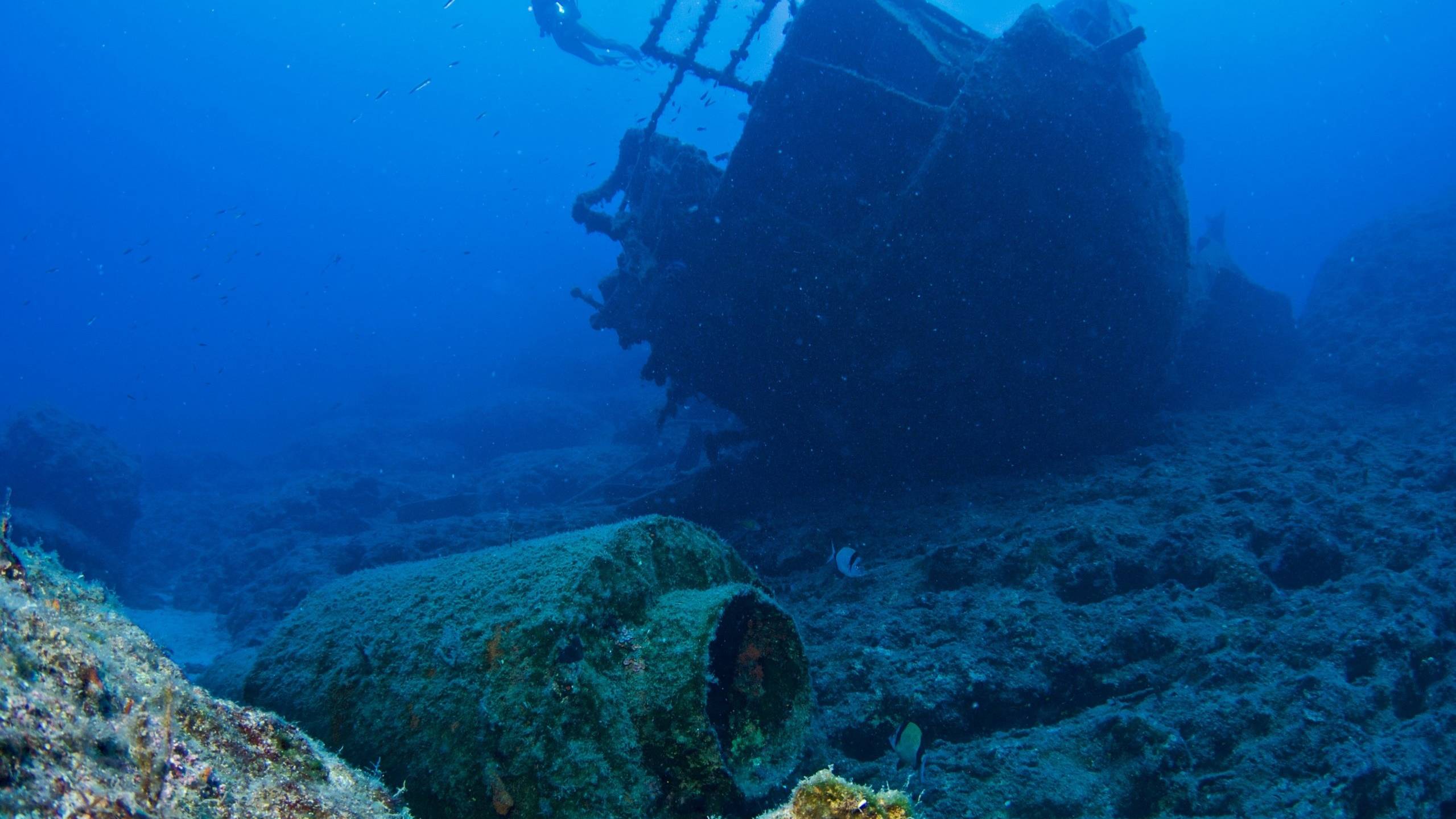 Wreck Dive