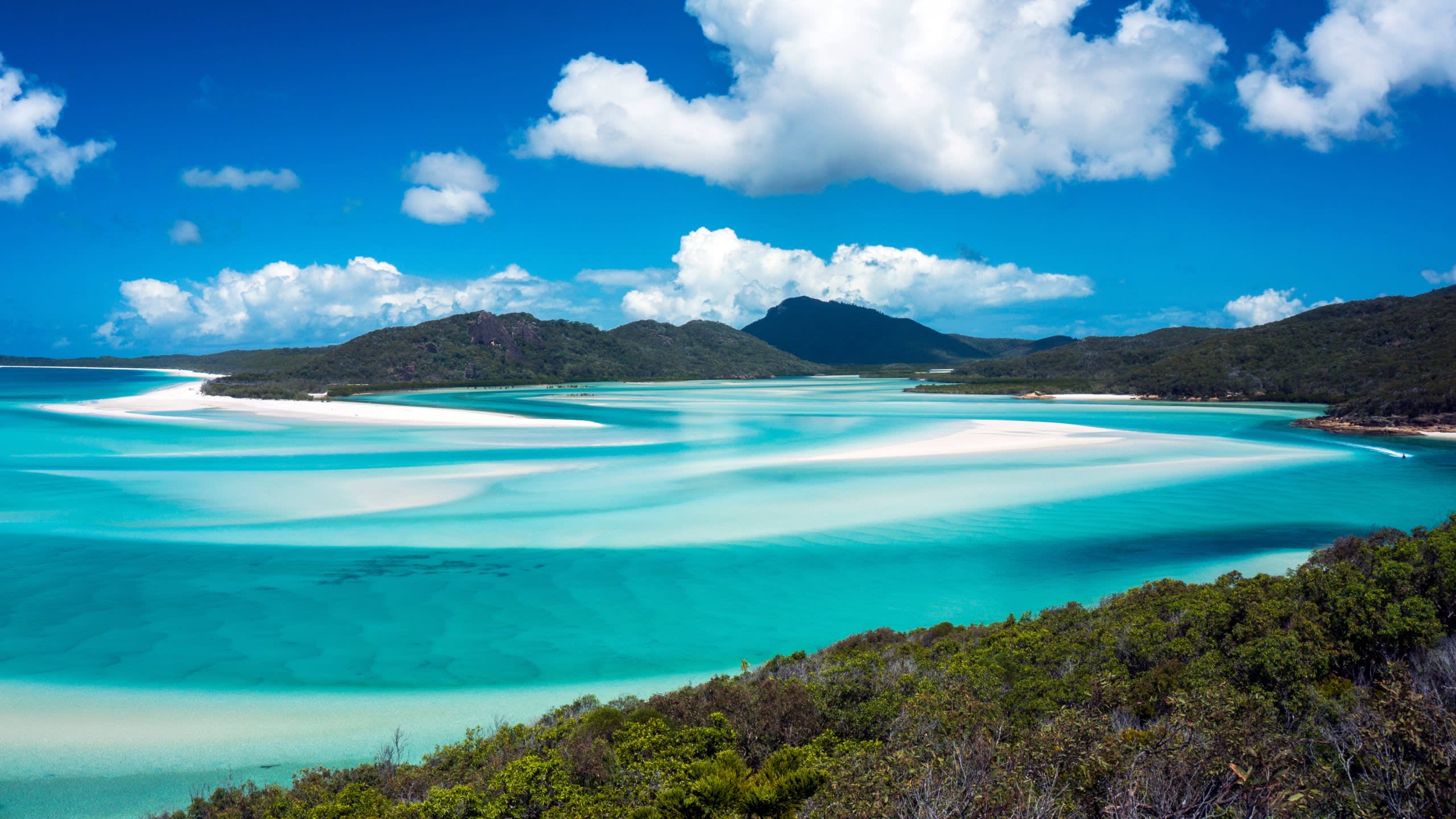 Spectacular Sea Life & Silica Sands