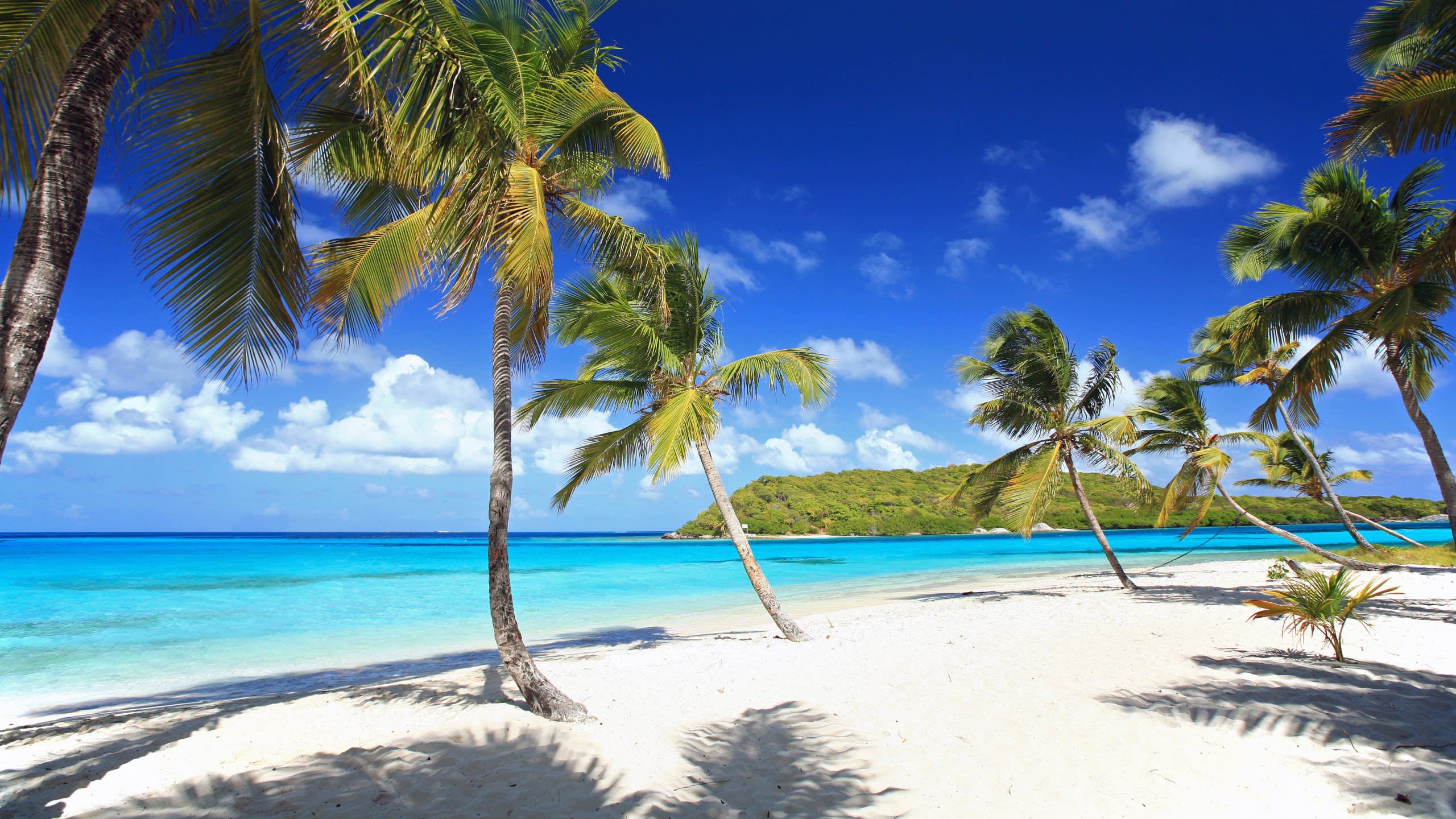 St Lucia To Grenada On Board Sherakhan