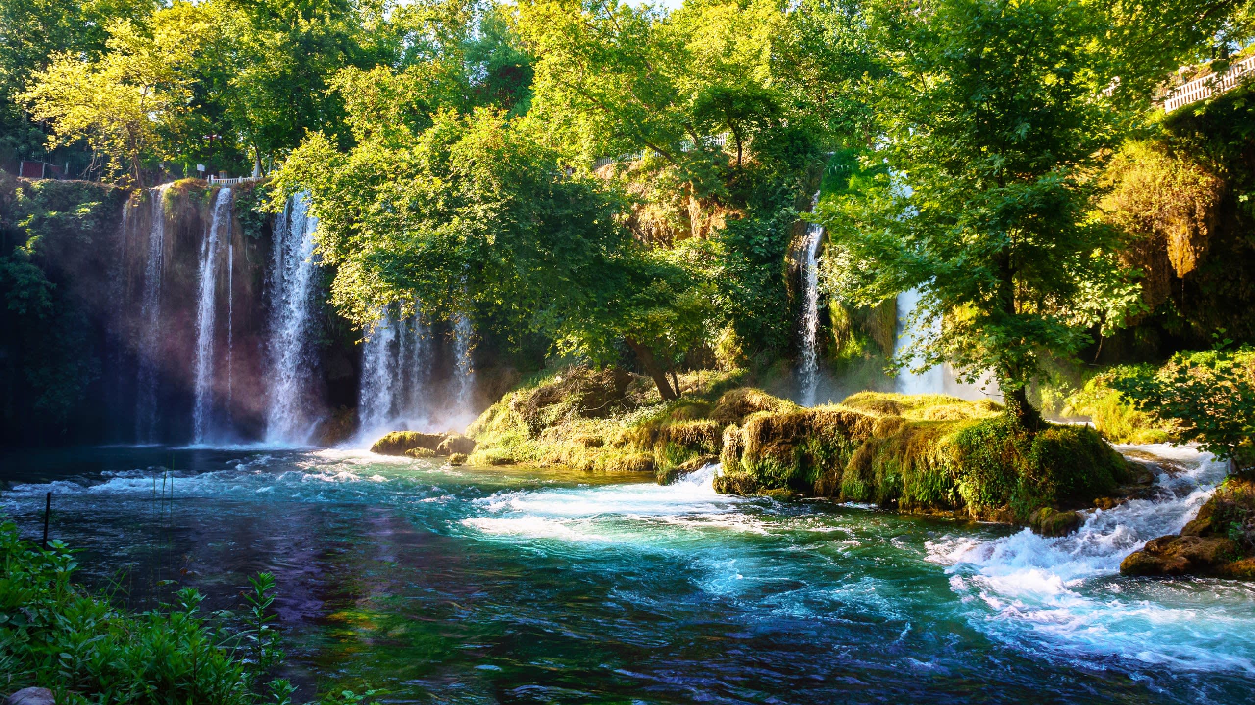 Tranquil Turkey