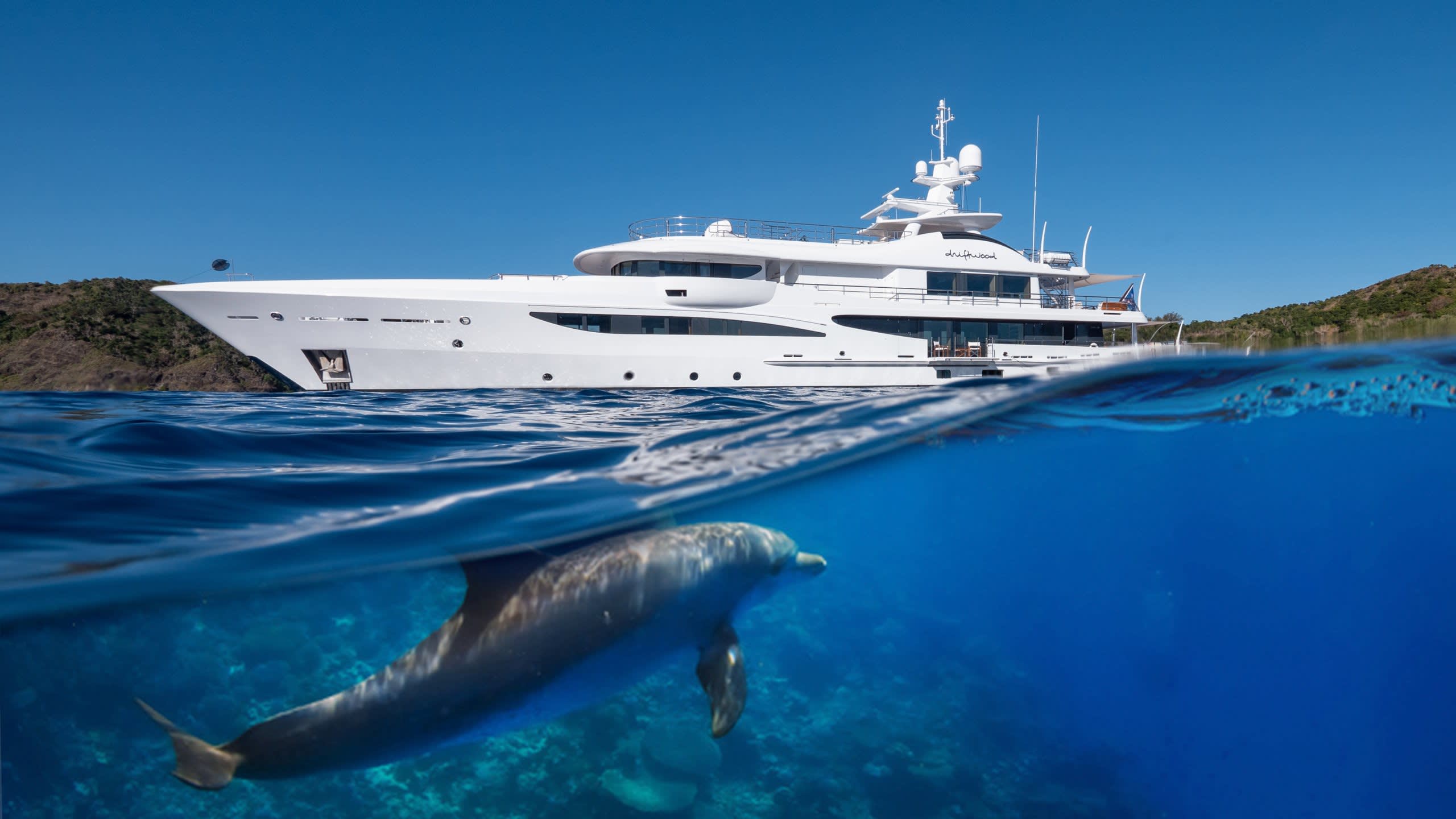 Larger-Than-Life Encounters