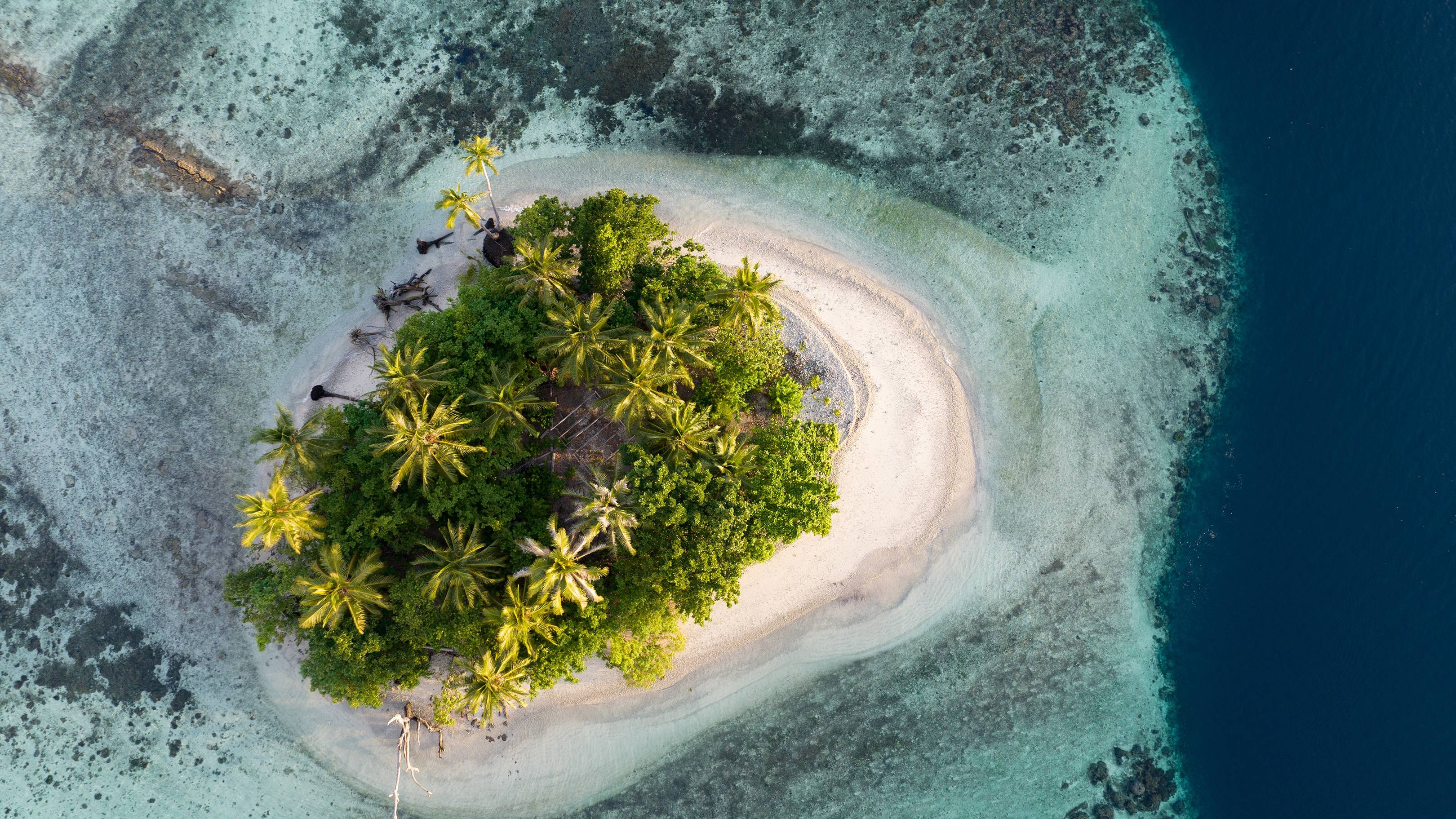 The Solomon Islands
