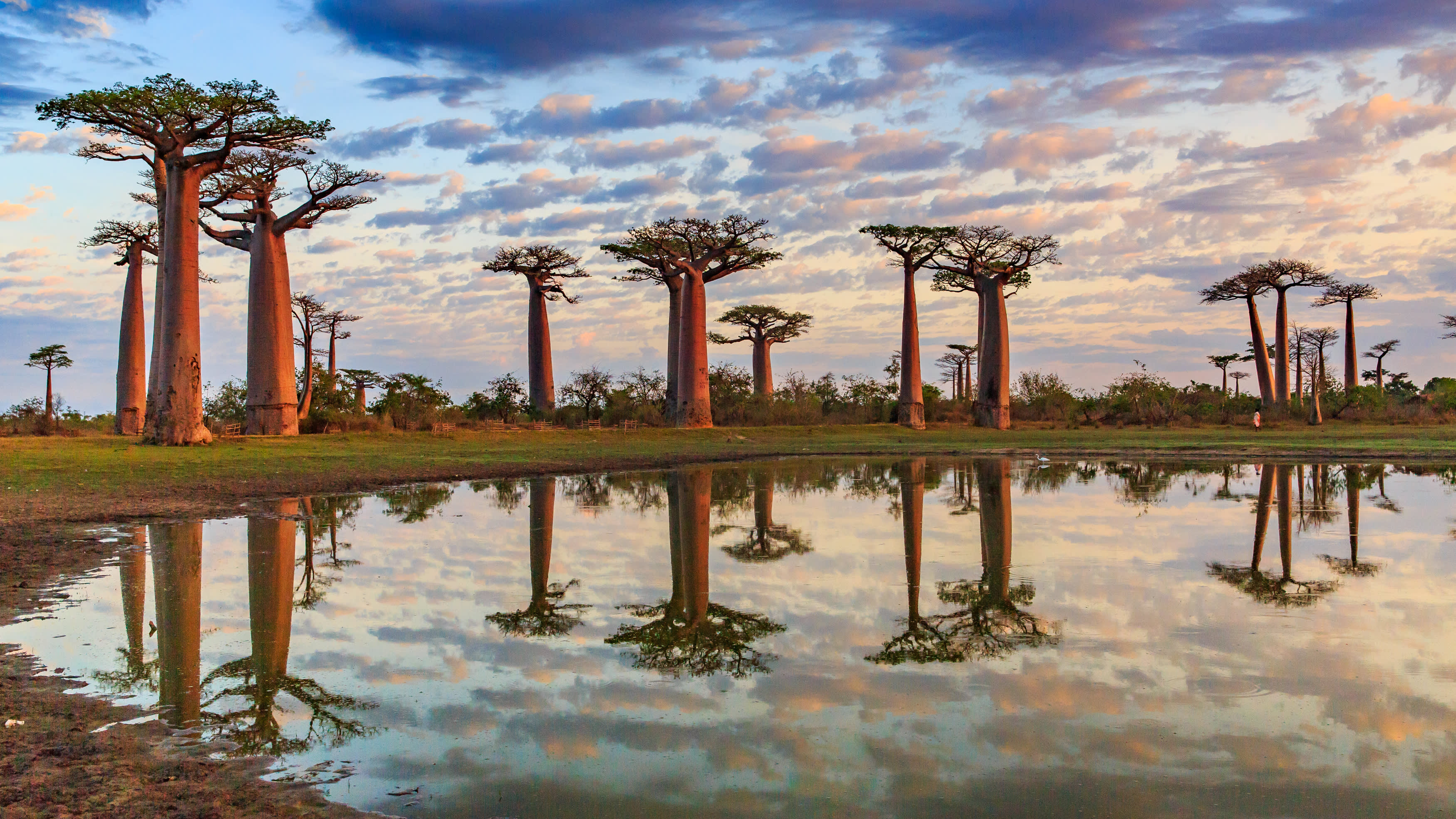 Northwest Madagascar