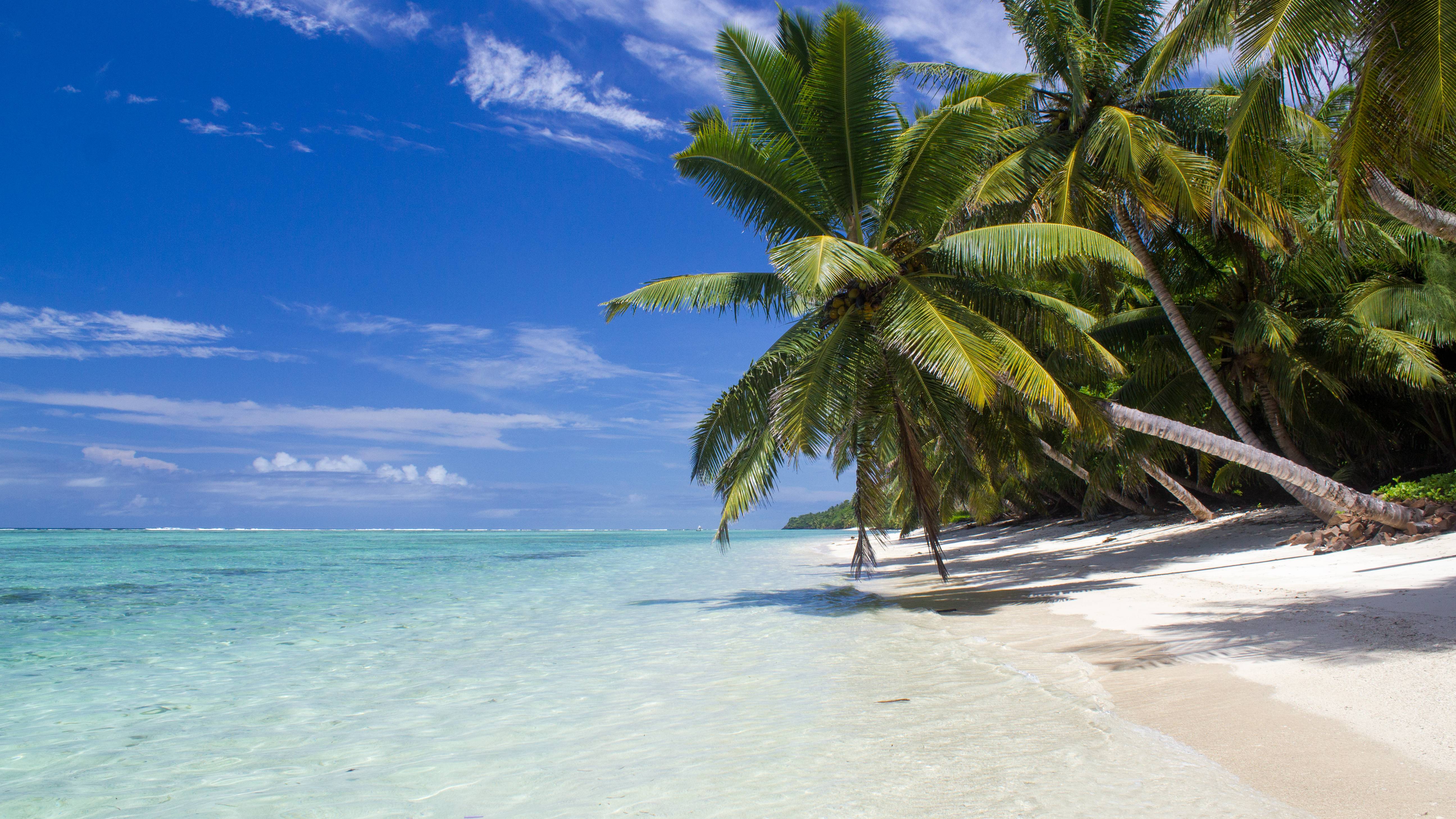 Madagascar & The Coralline Seychelles