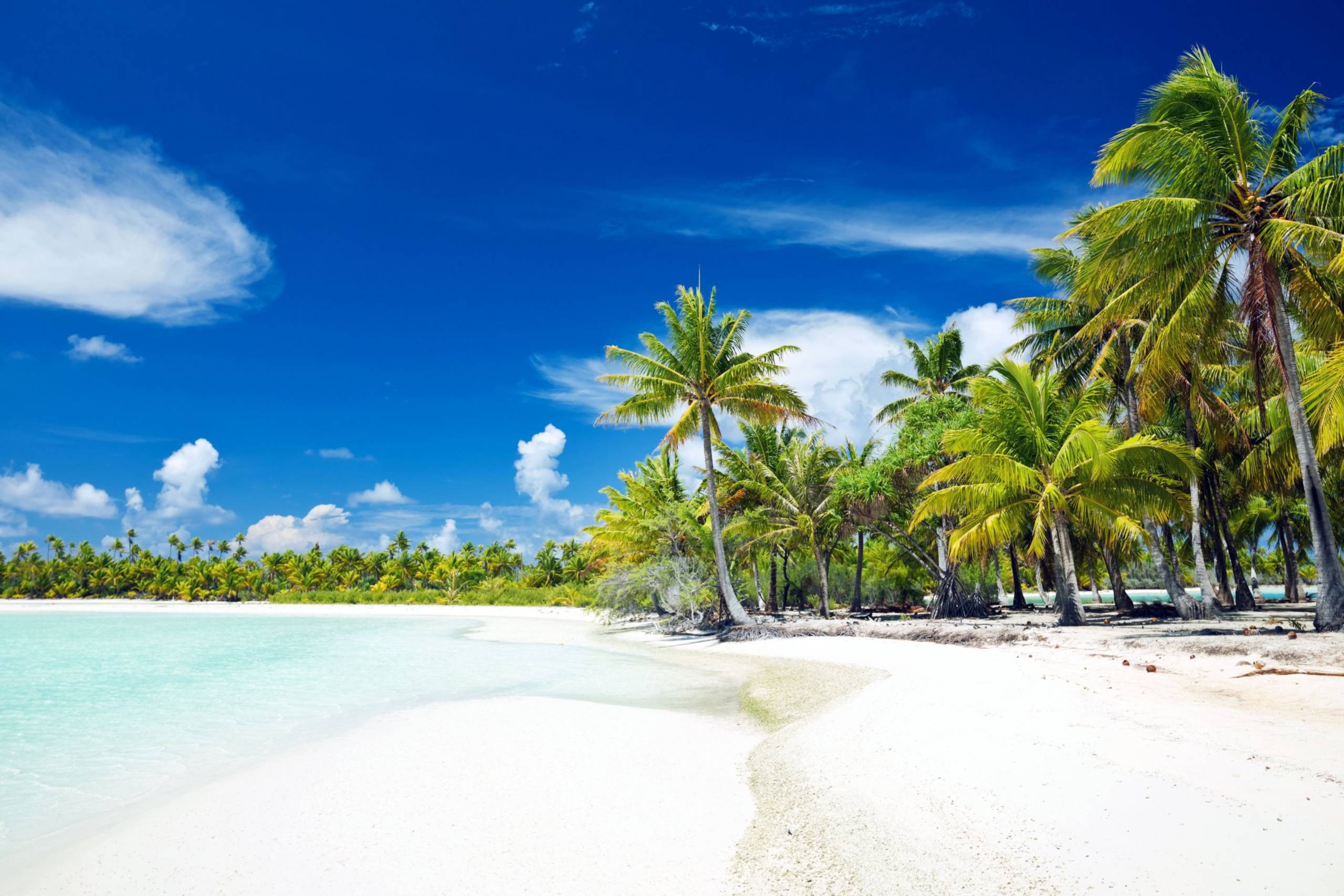 Apataki Mid-Atoll