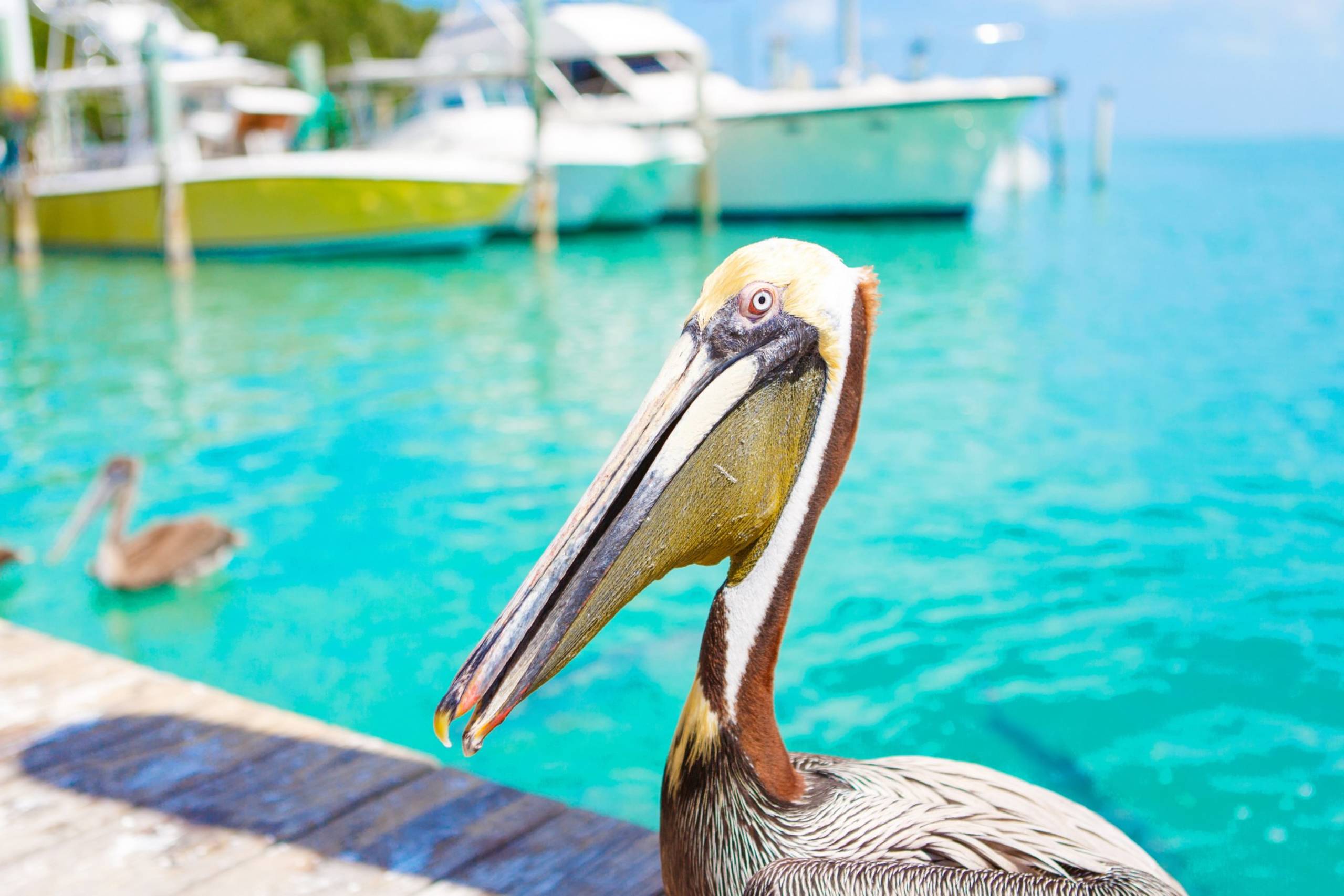 Key Largo