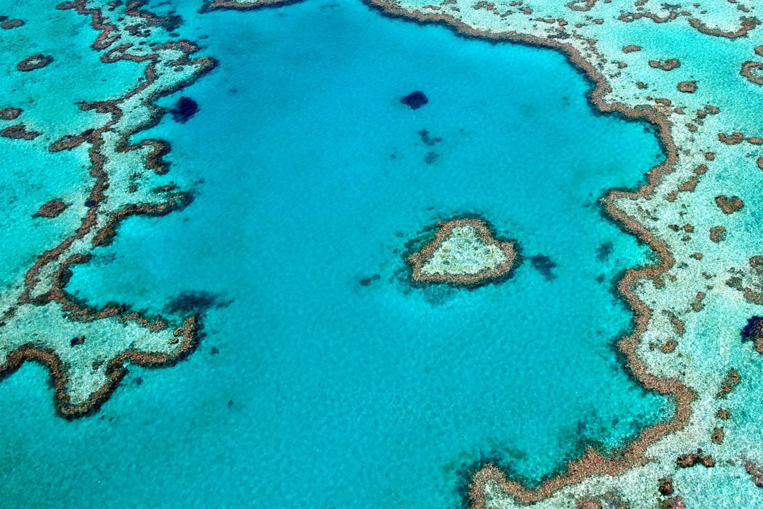 Hardy Reef