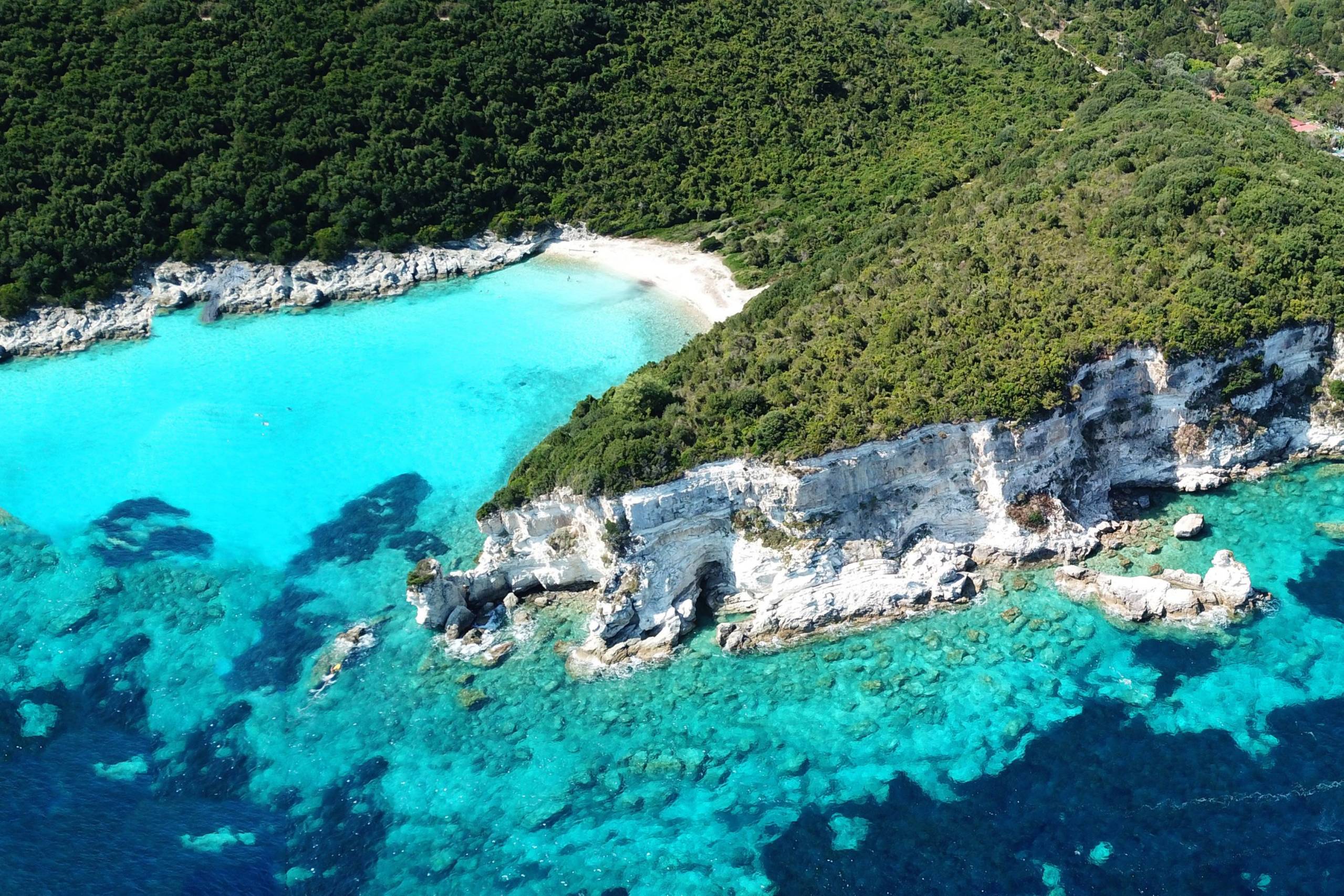 Antipaxos