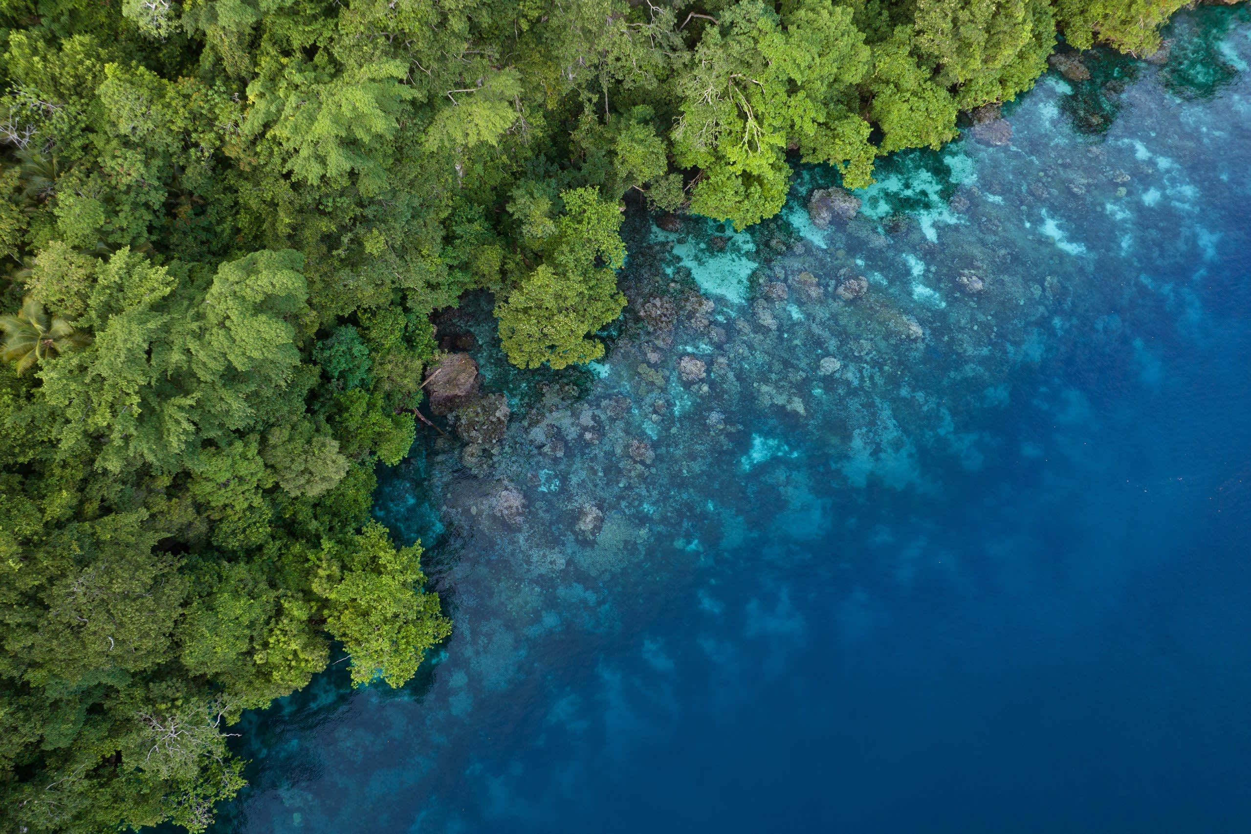 Shortland Islands
