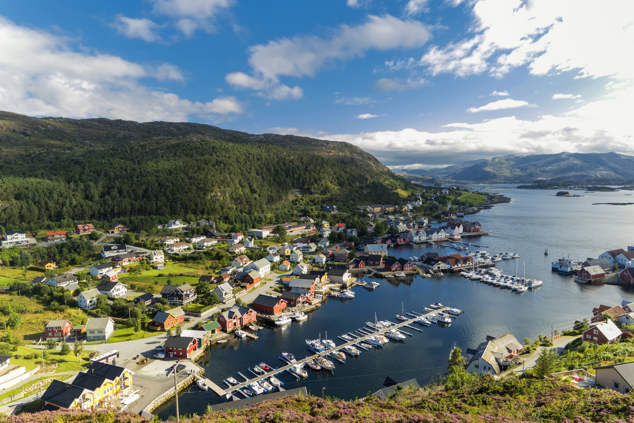 Kalvåg