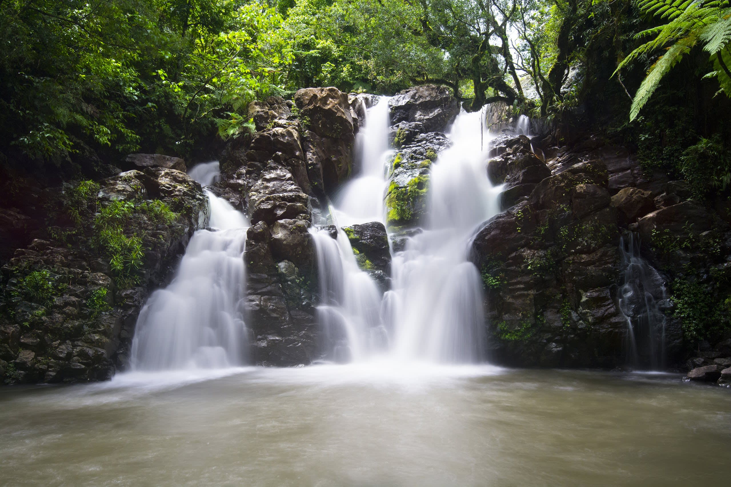 Taveuni Island