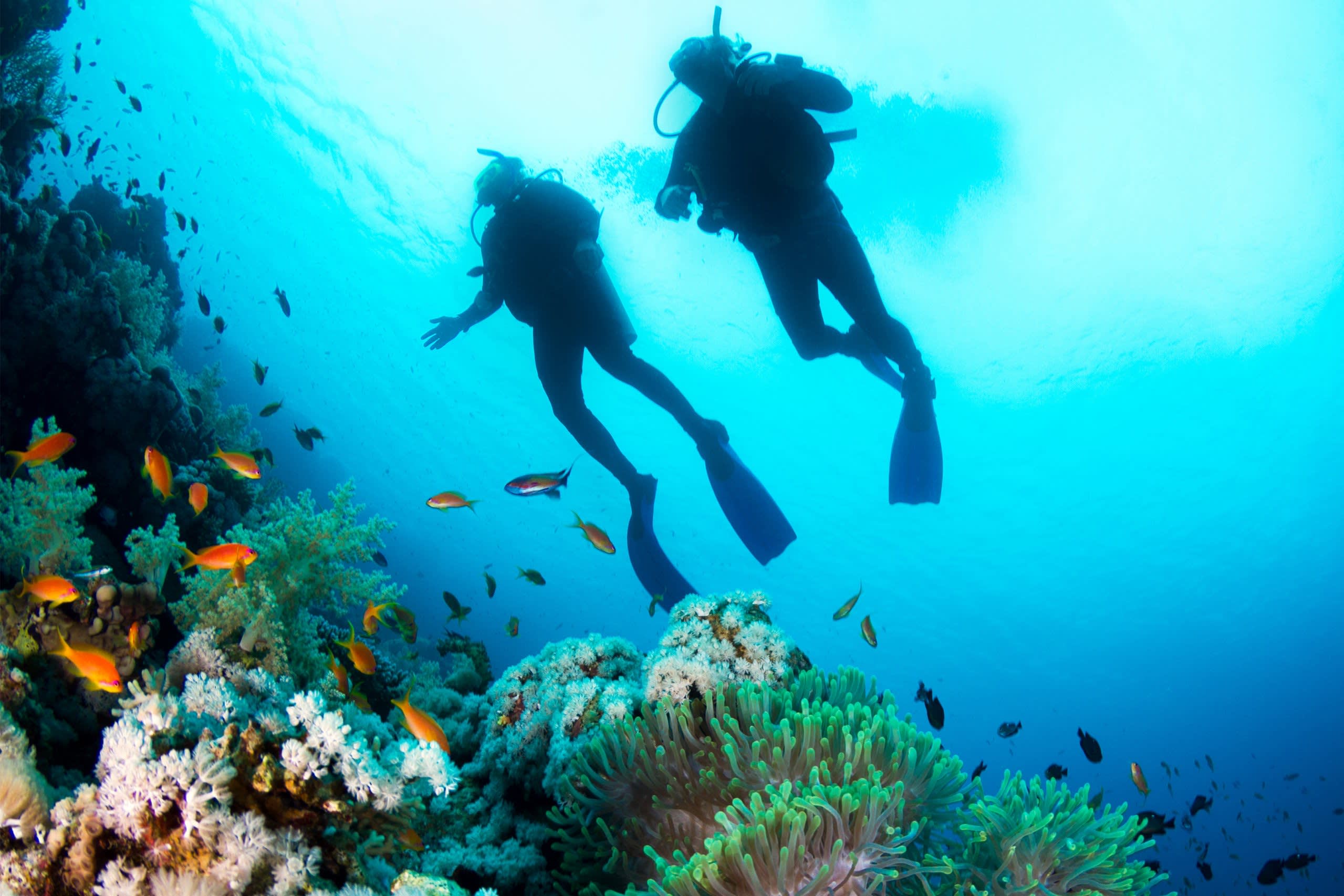 Great Astrolabe Reef