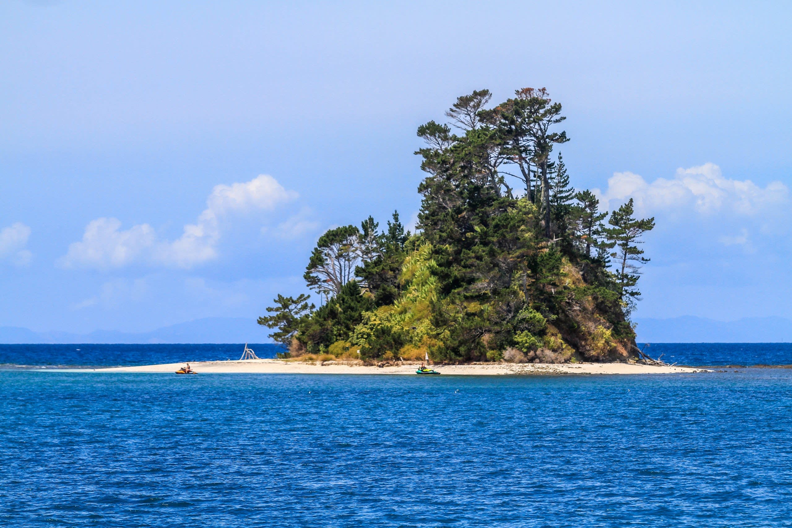 Kawau