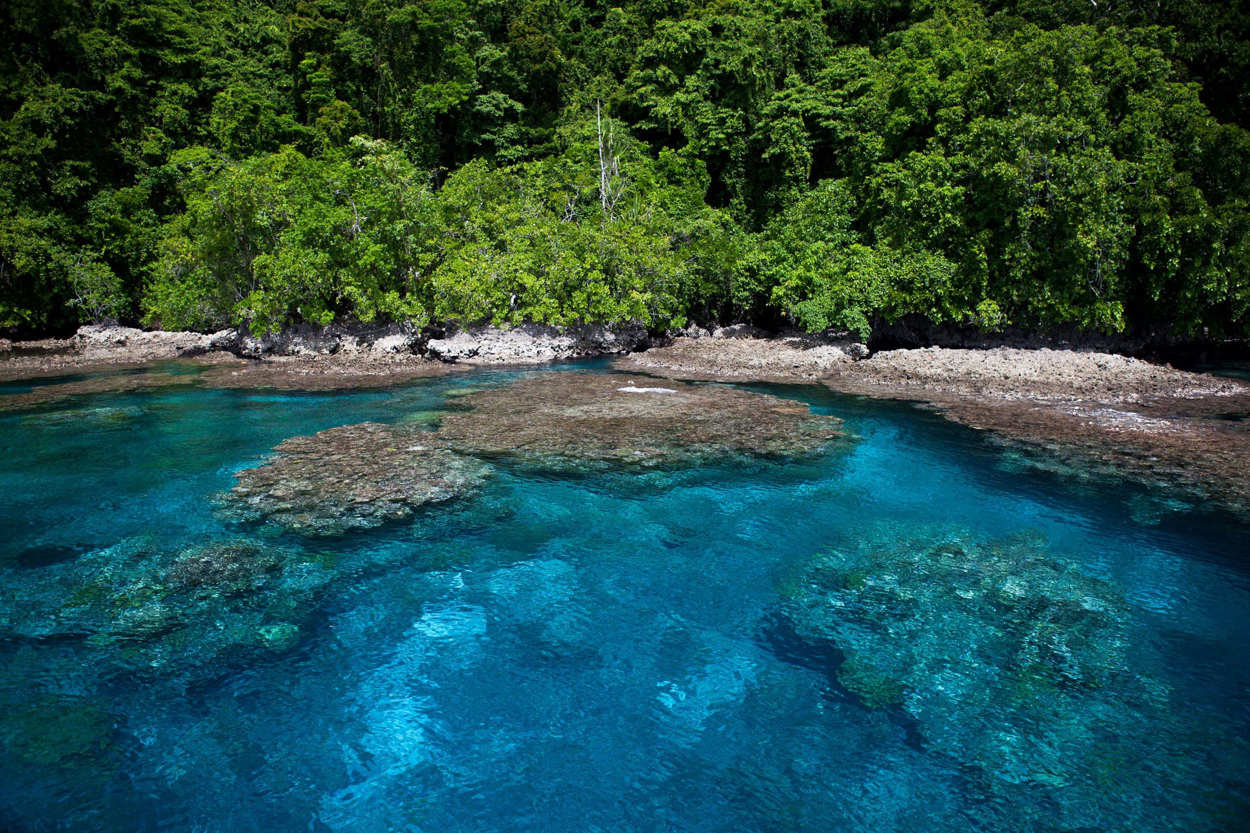Mane Island
