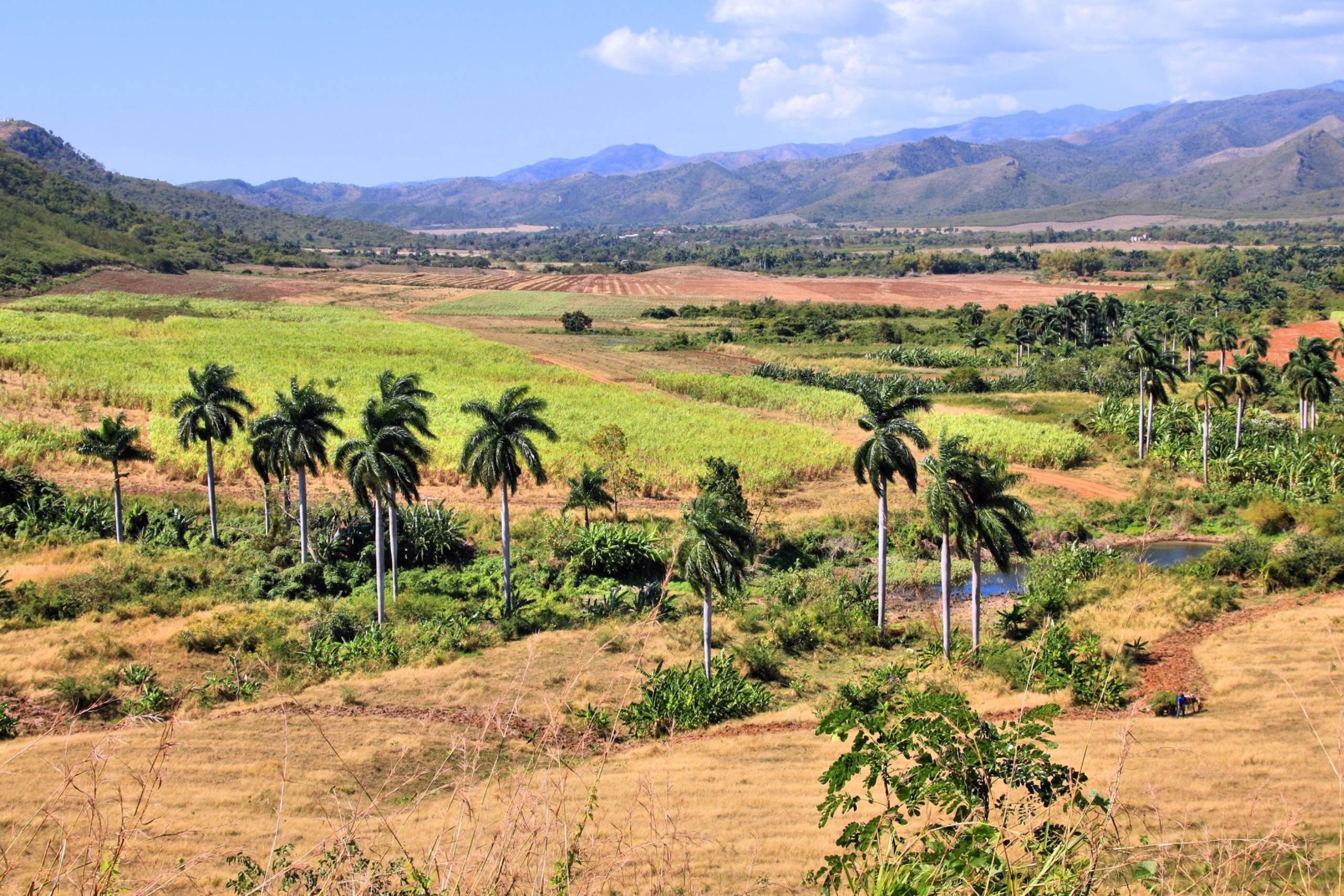 Valle de los Ingenios