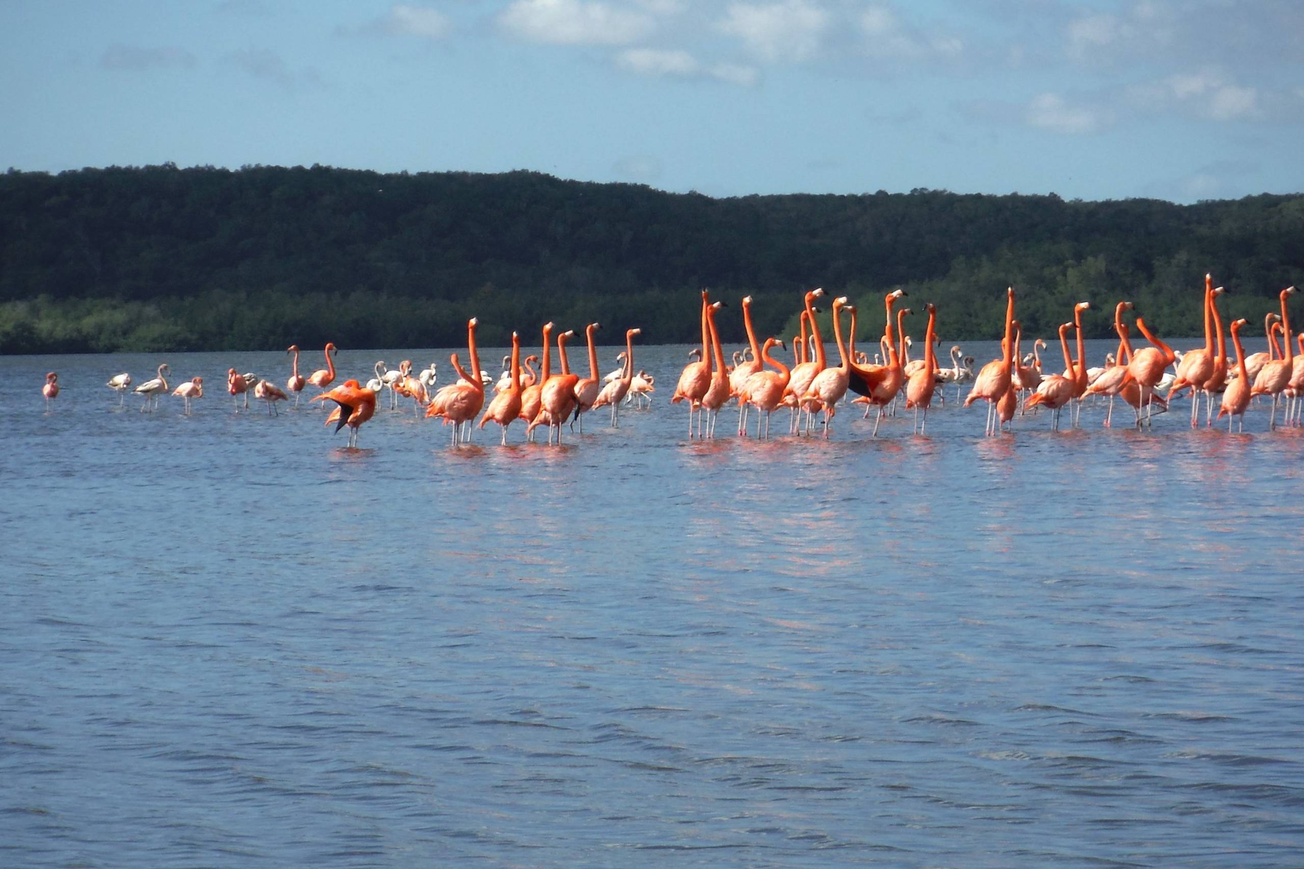 Guanaroca Lagoon