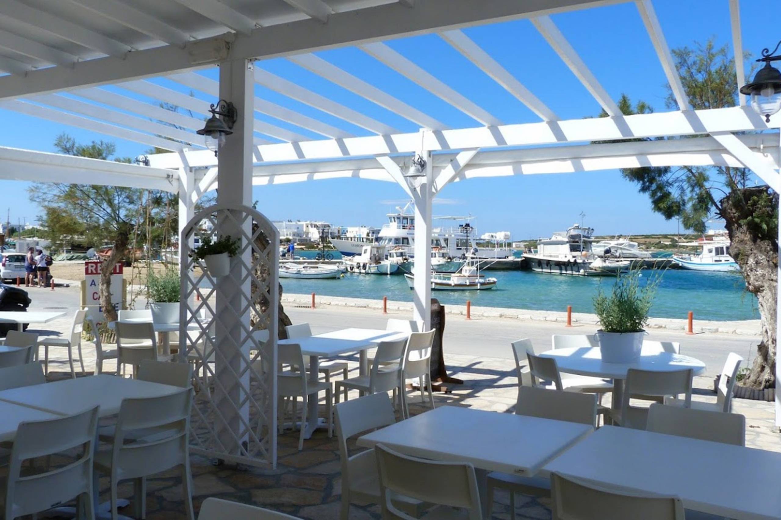 Restaurant Lollo's Pizzeria