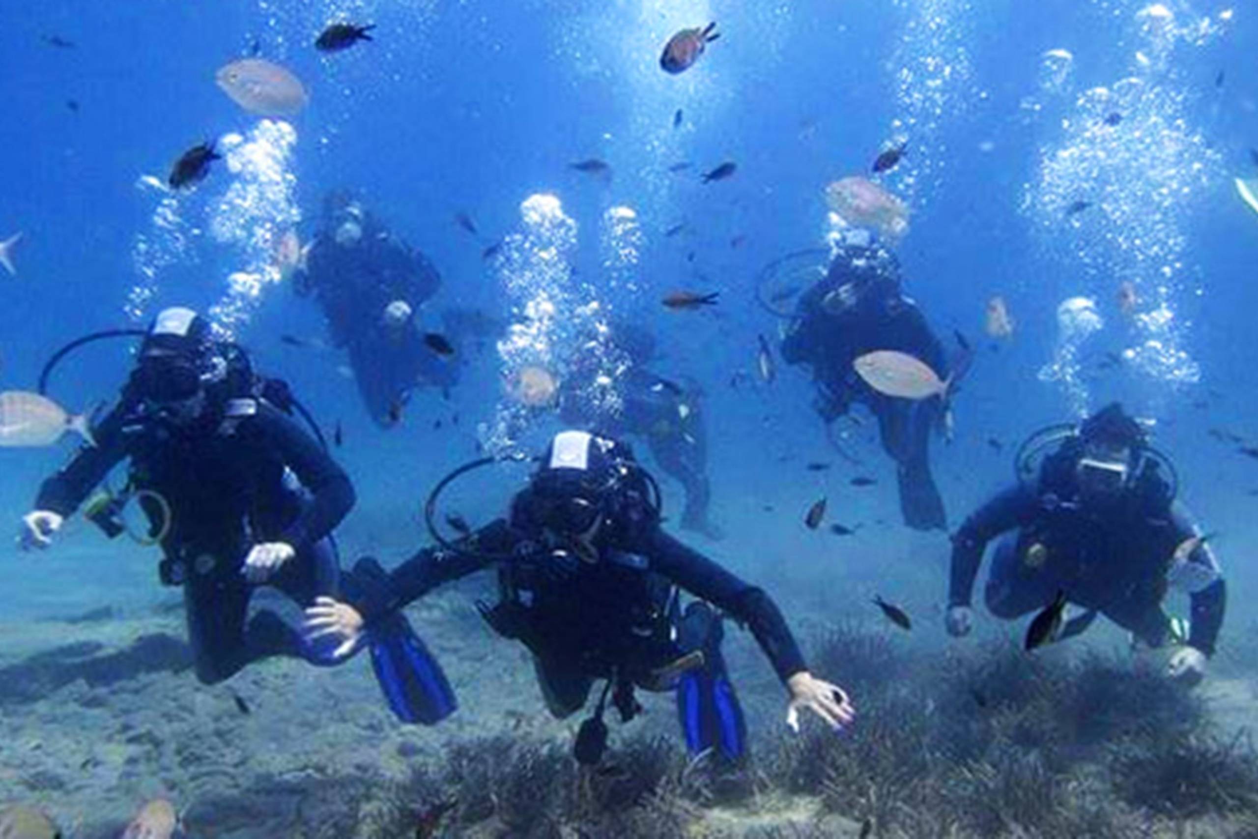 Scuba Dive