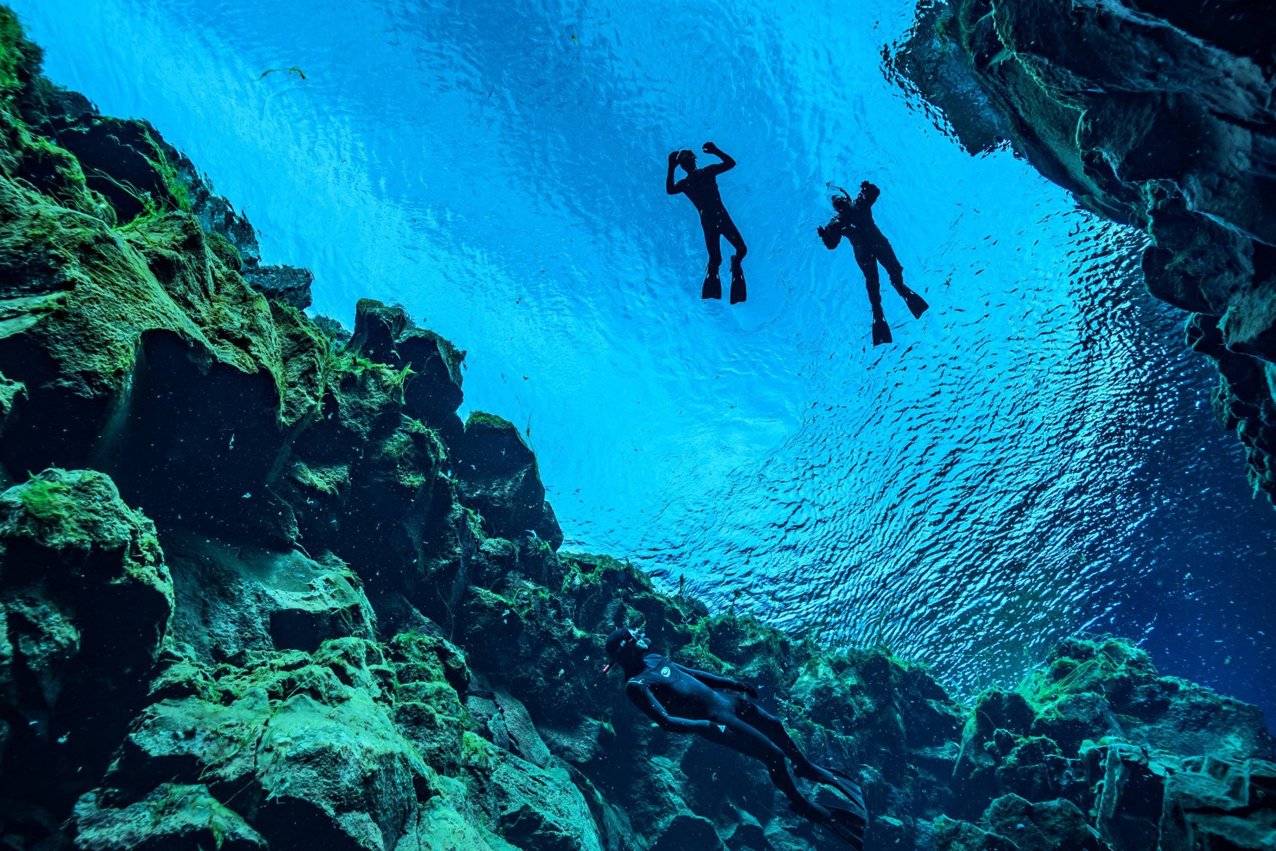 Snorkelling between Tectonic Plates