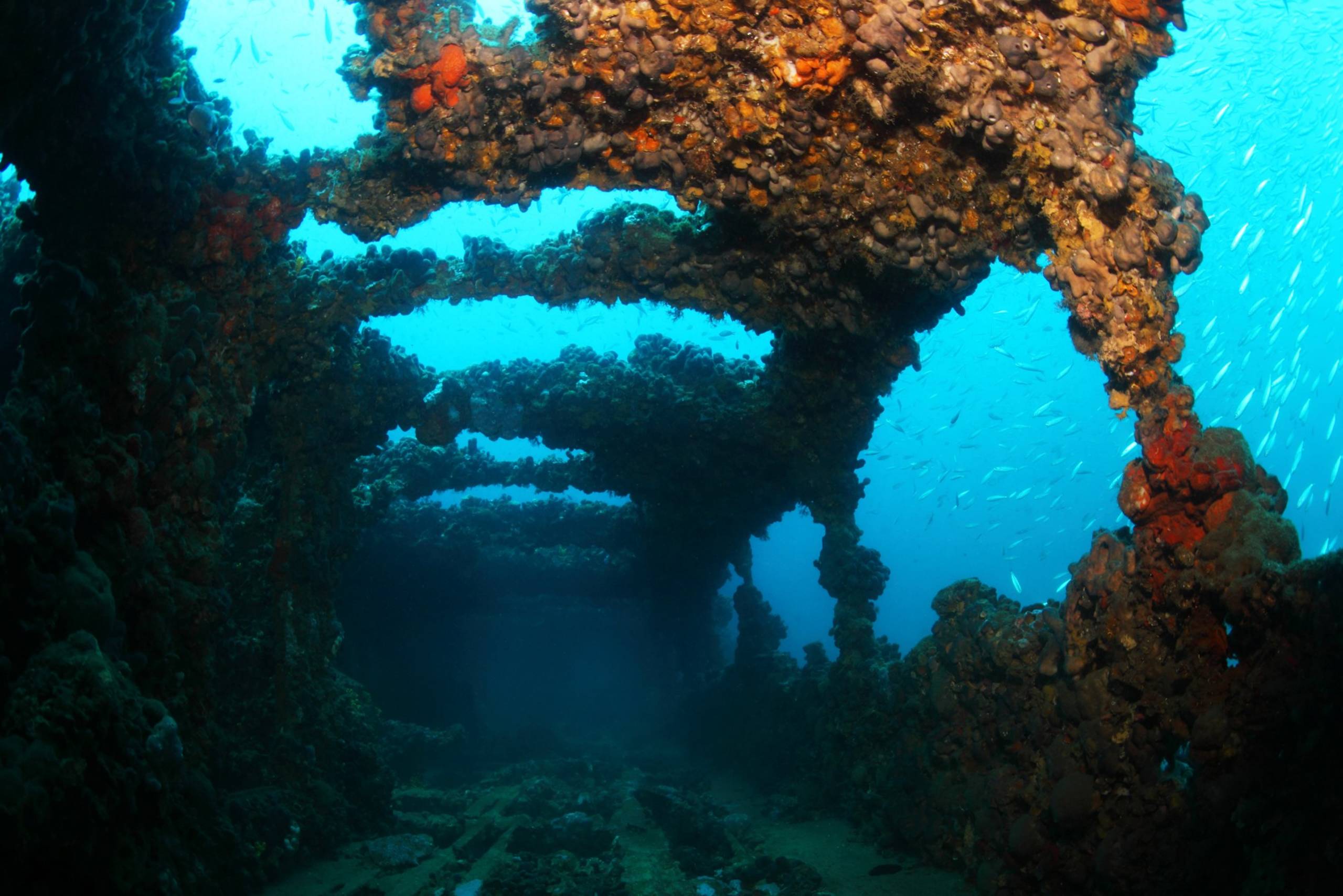 Moskito Island