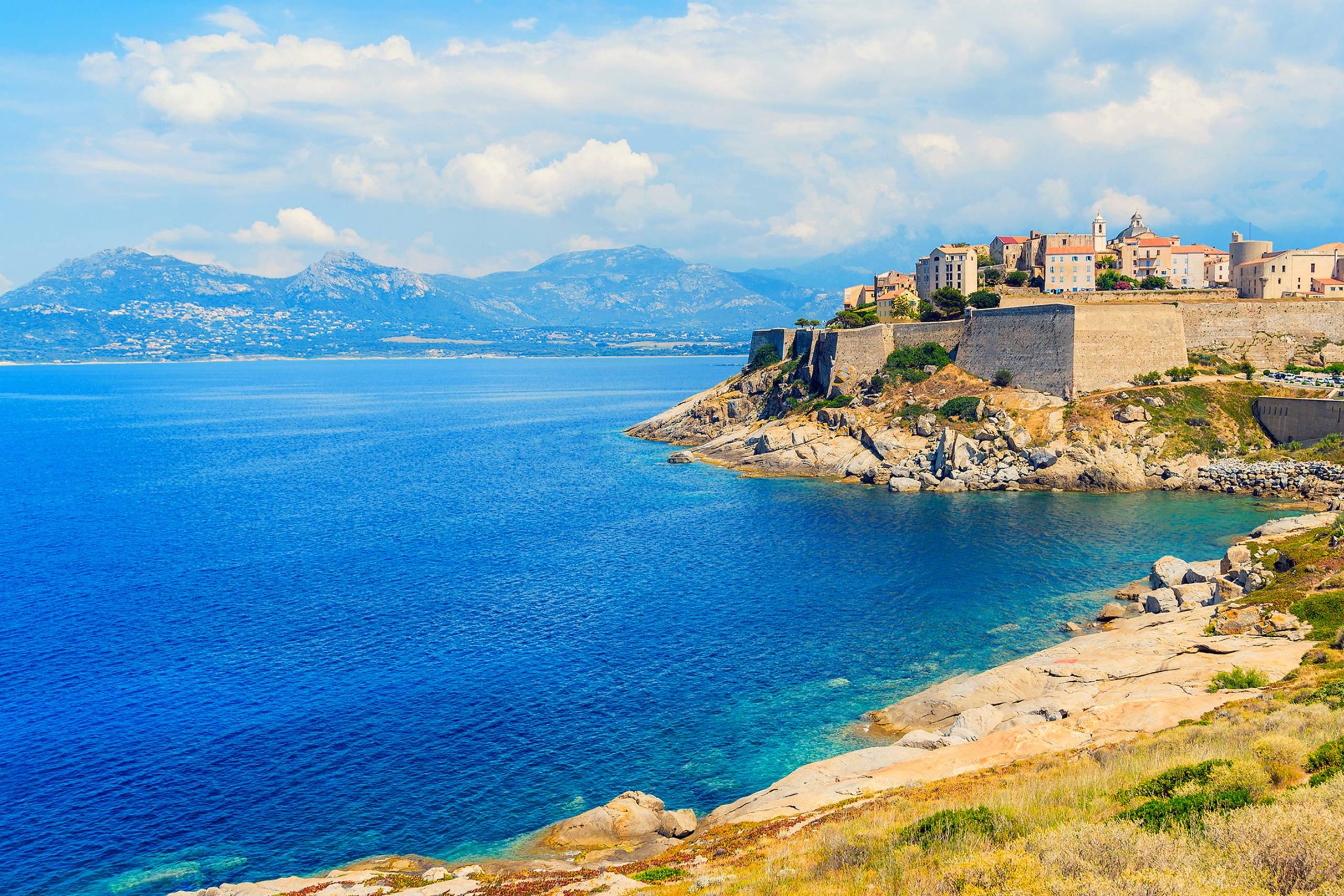 Calvi