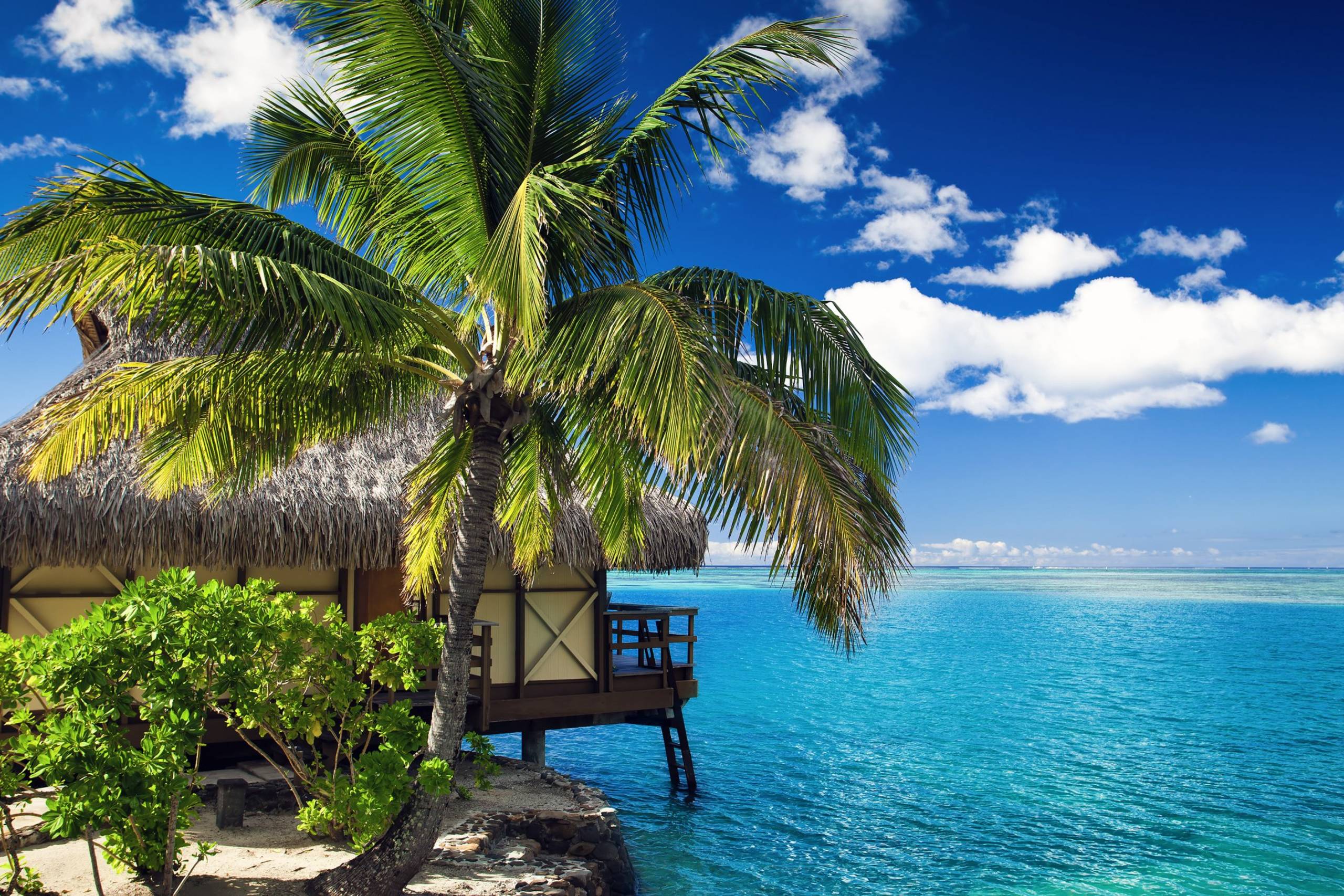 Rangiroa and Tikehau