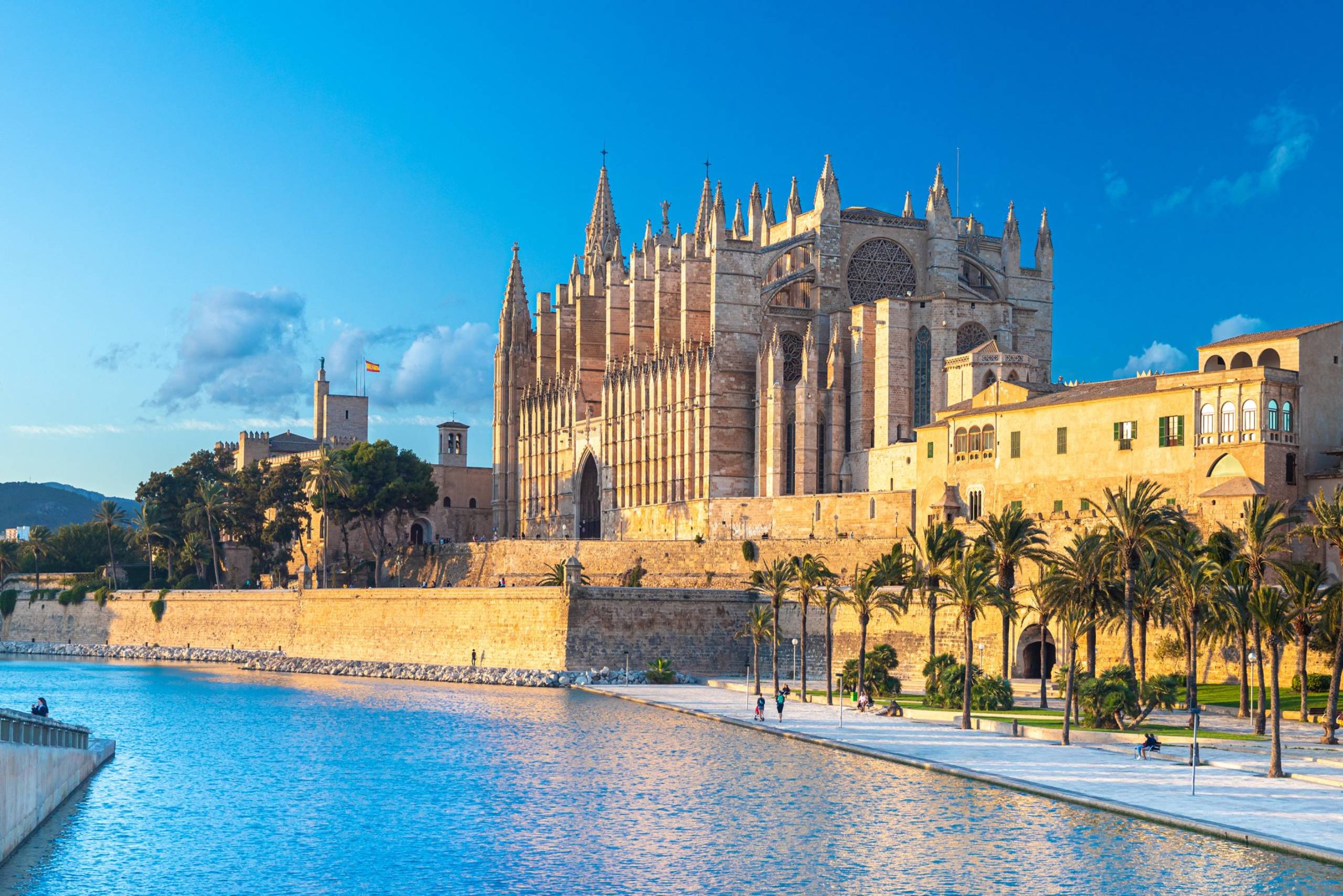 Palma