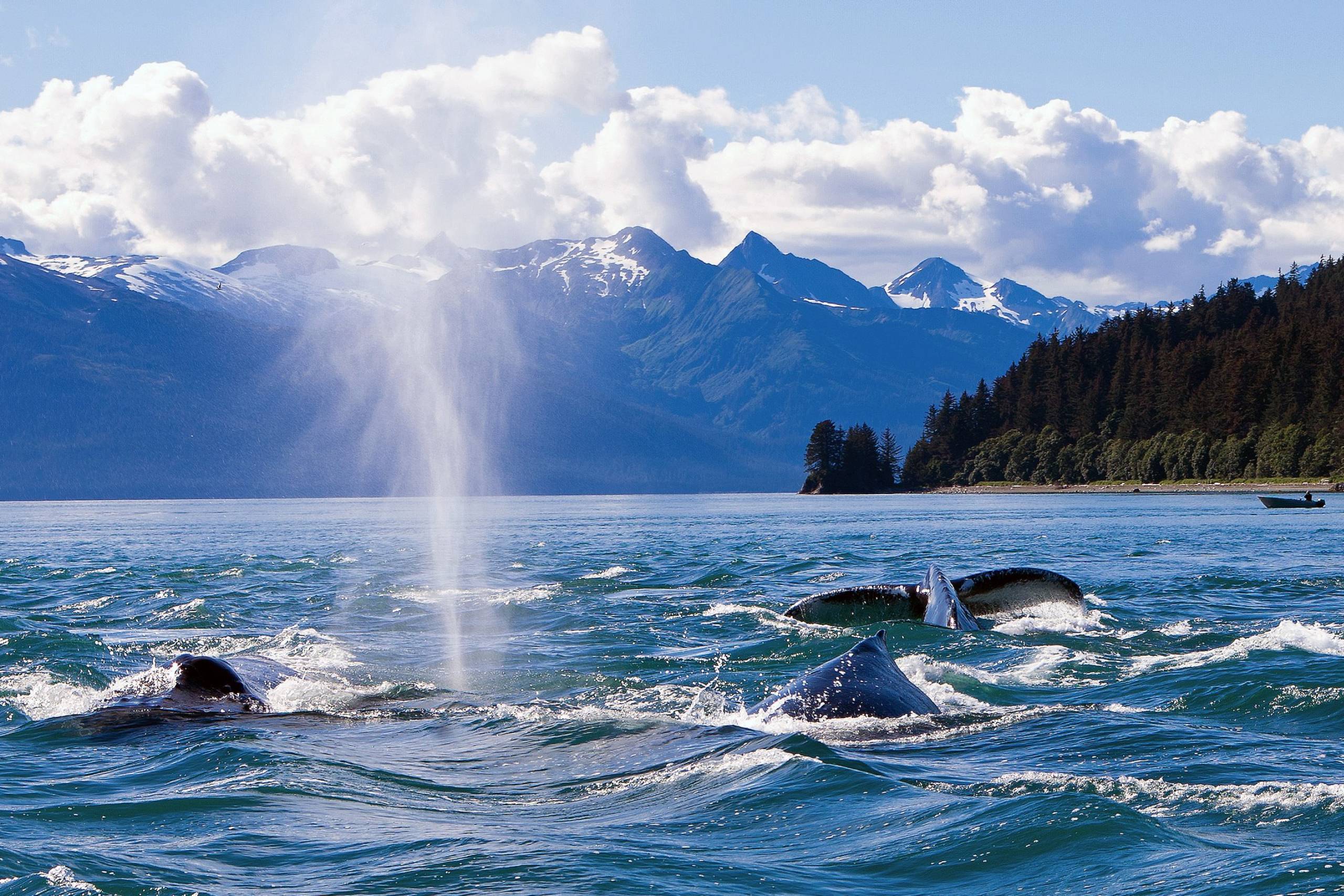 Chatham Strait