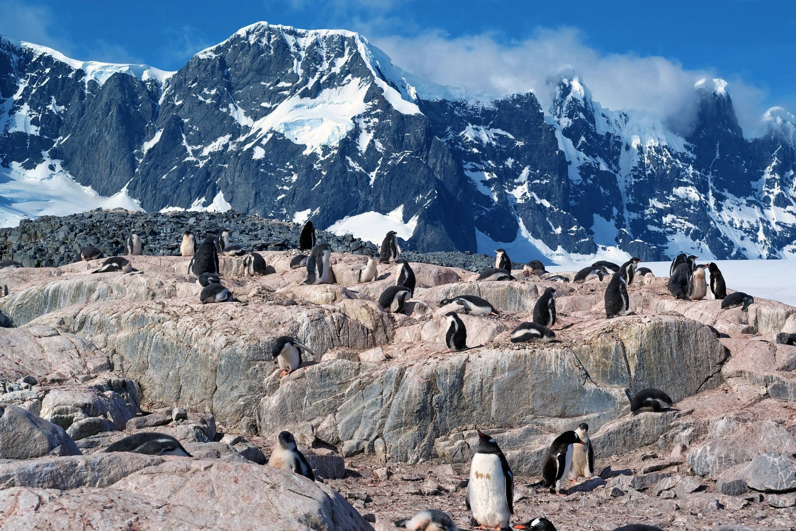 Port Lockroy