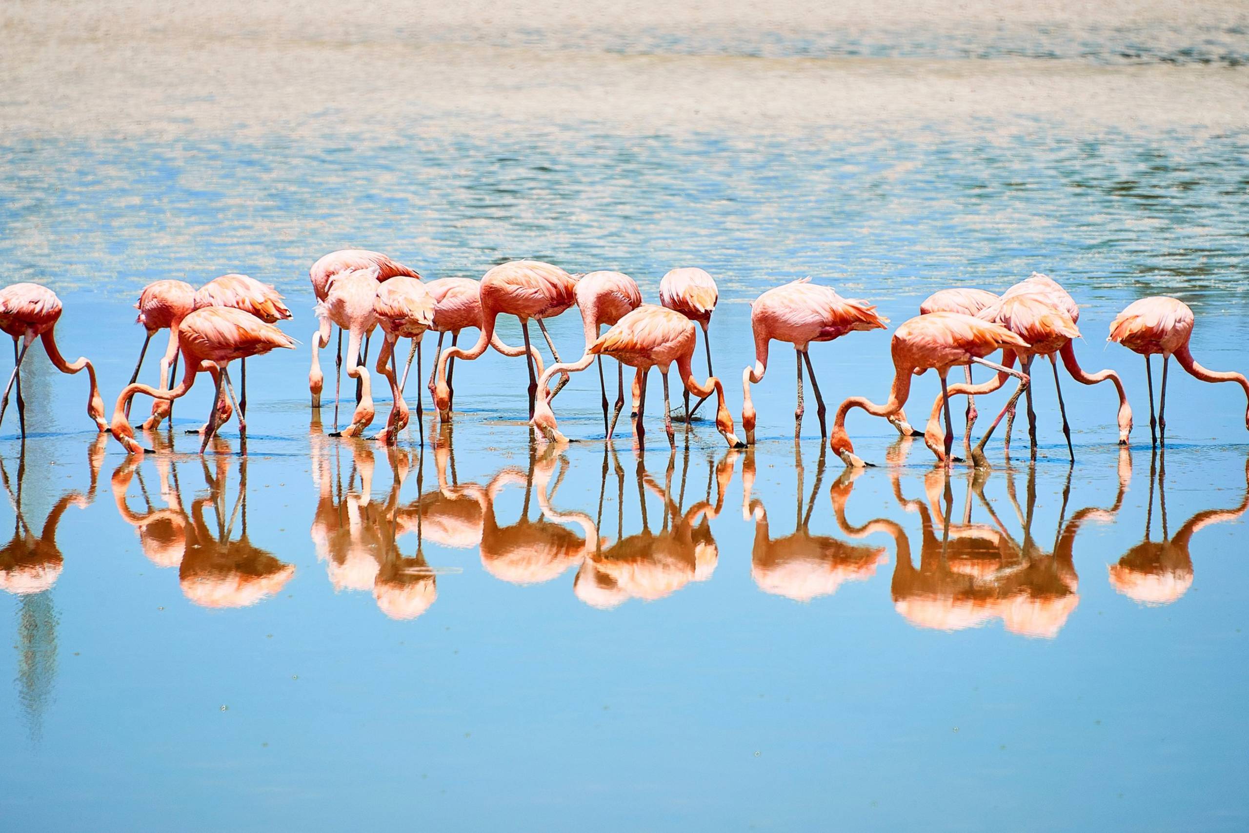 Cayo Largo