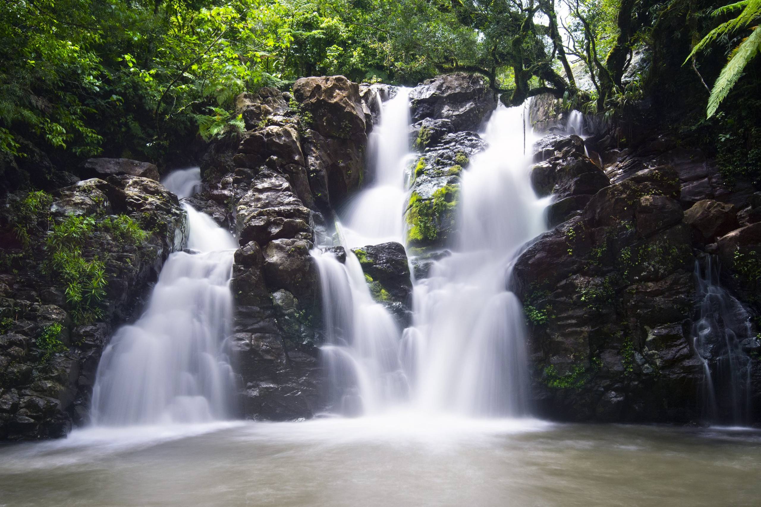 Taveuni