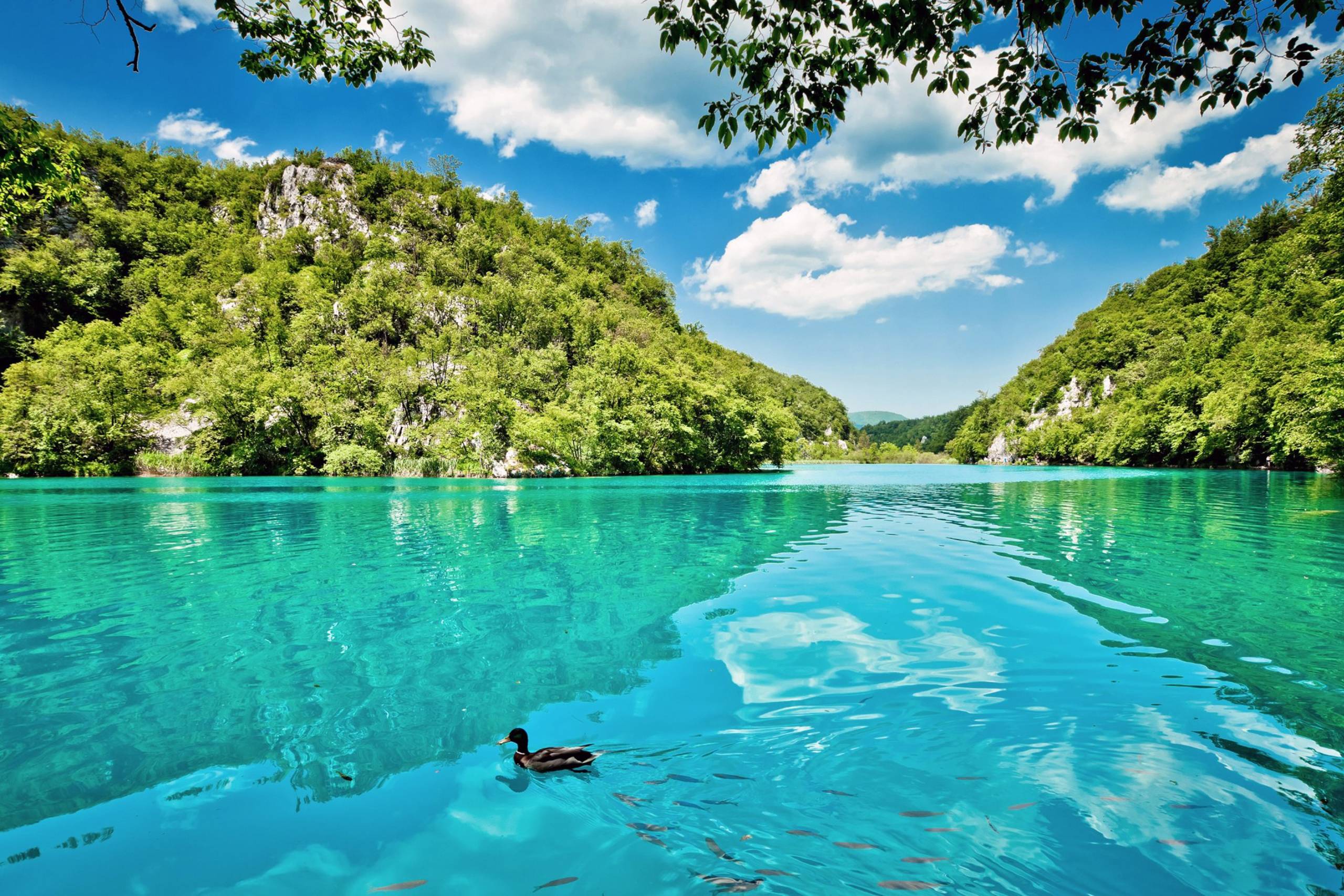 Krka