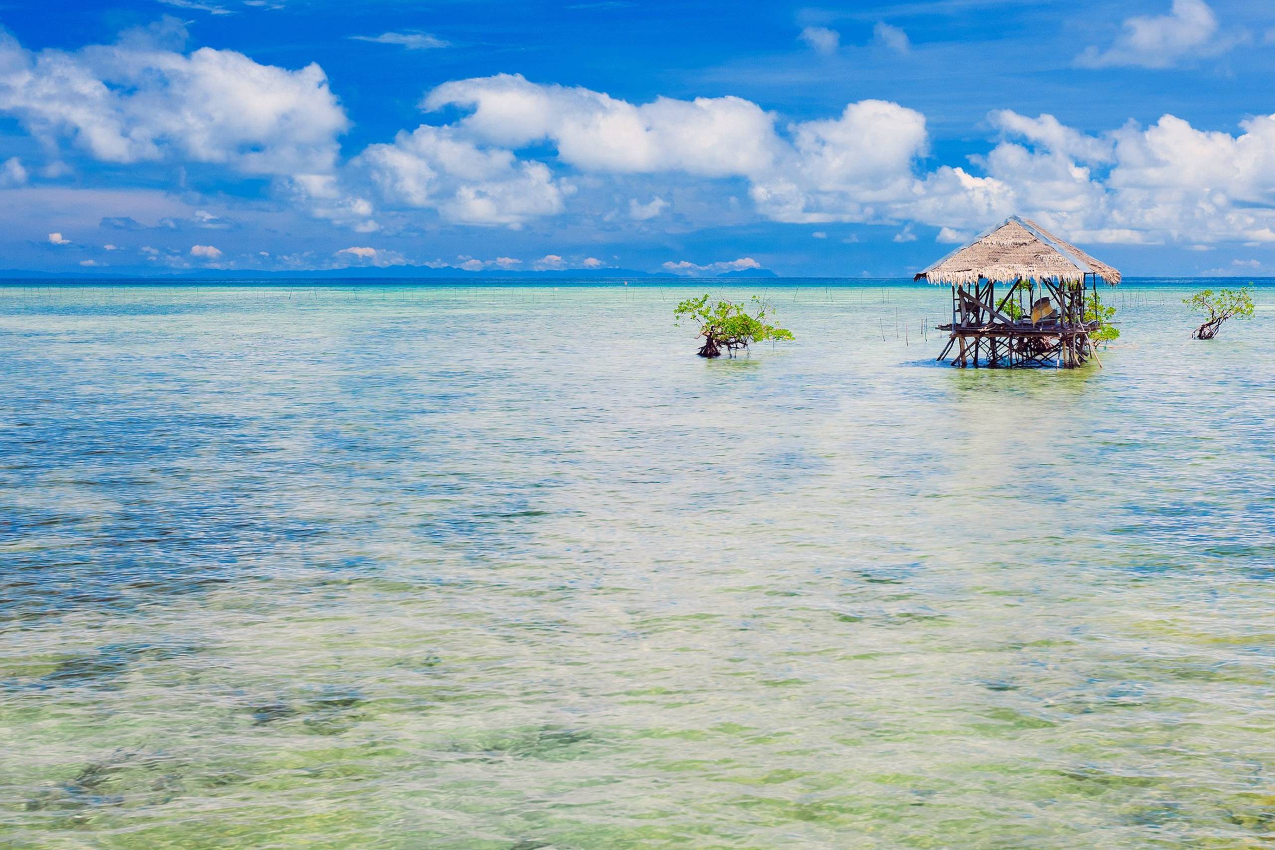 Bohol