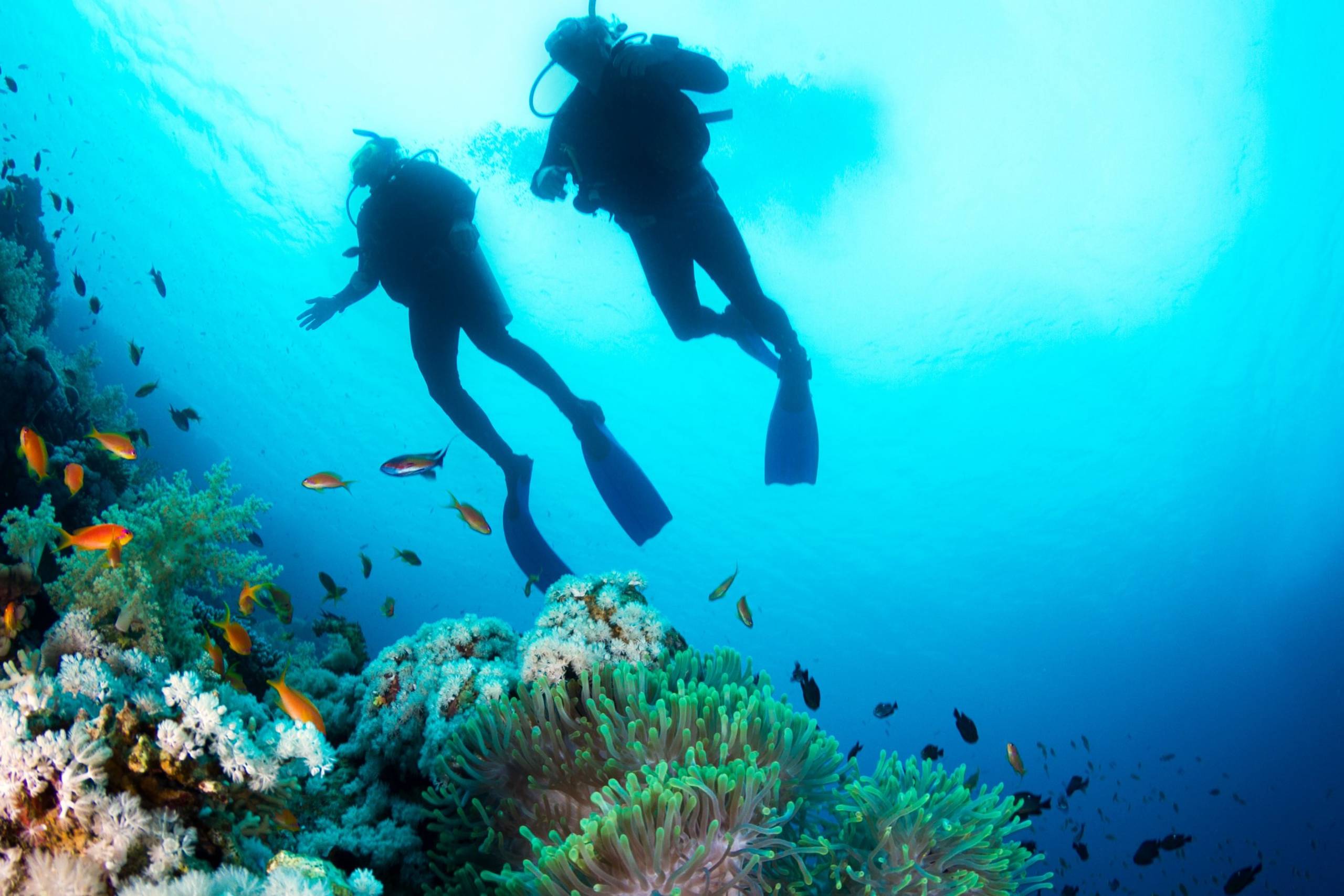 Astrolabe Reef