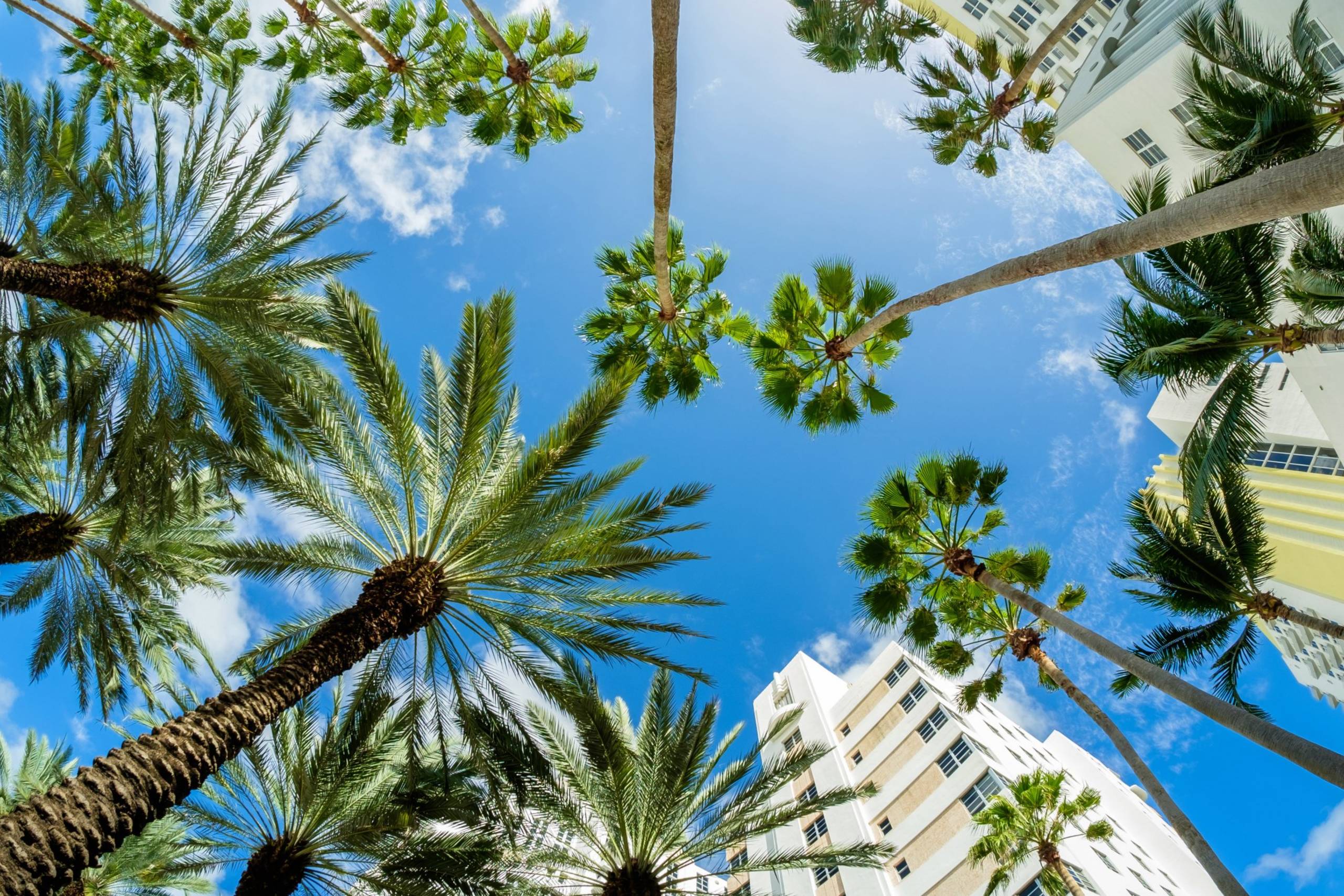 Miami