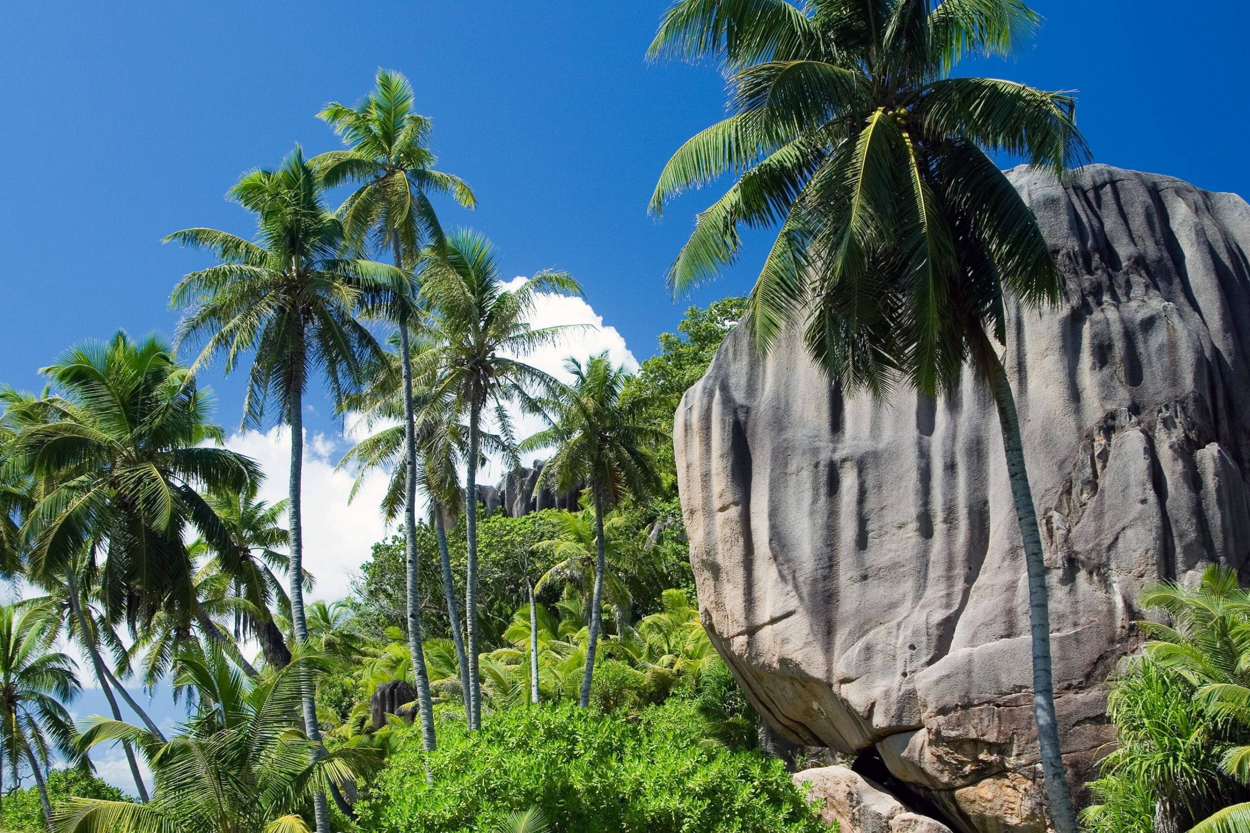 The Sister Island
