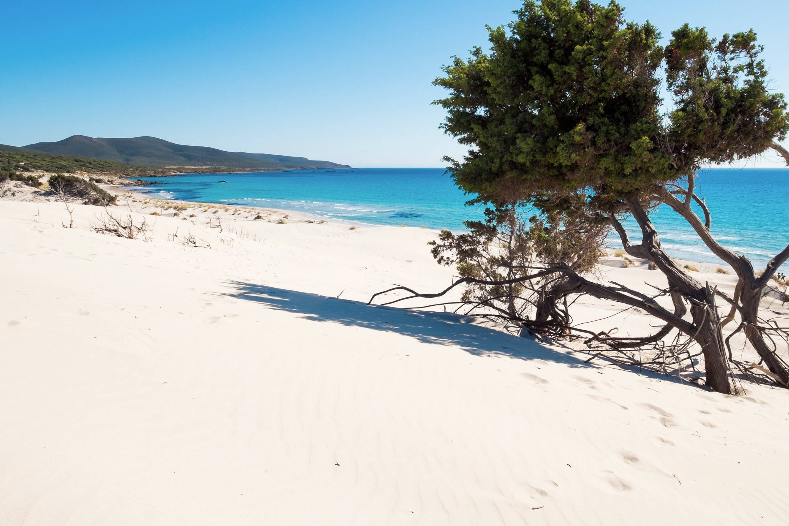 Porto Pino