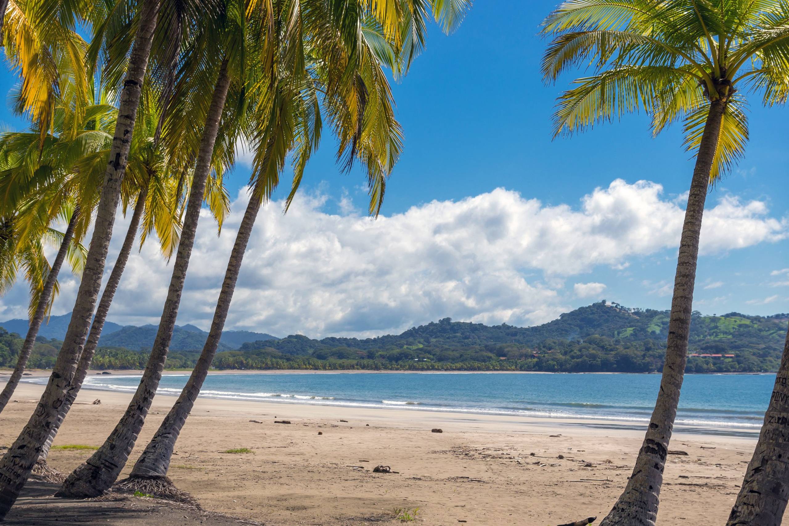 Tamarindo