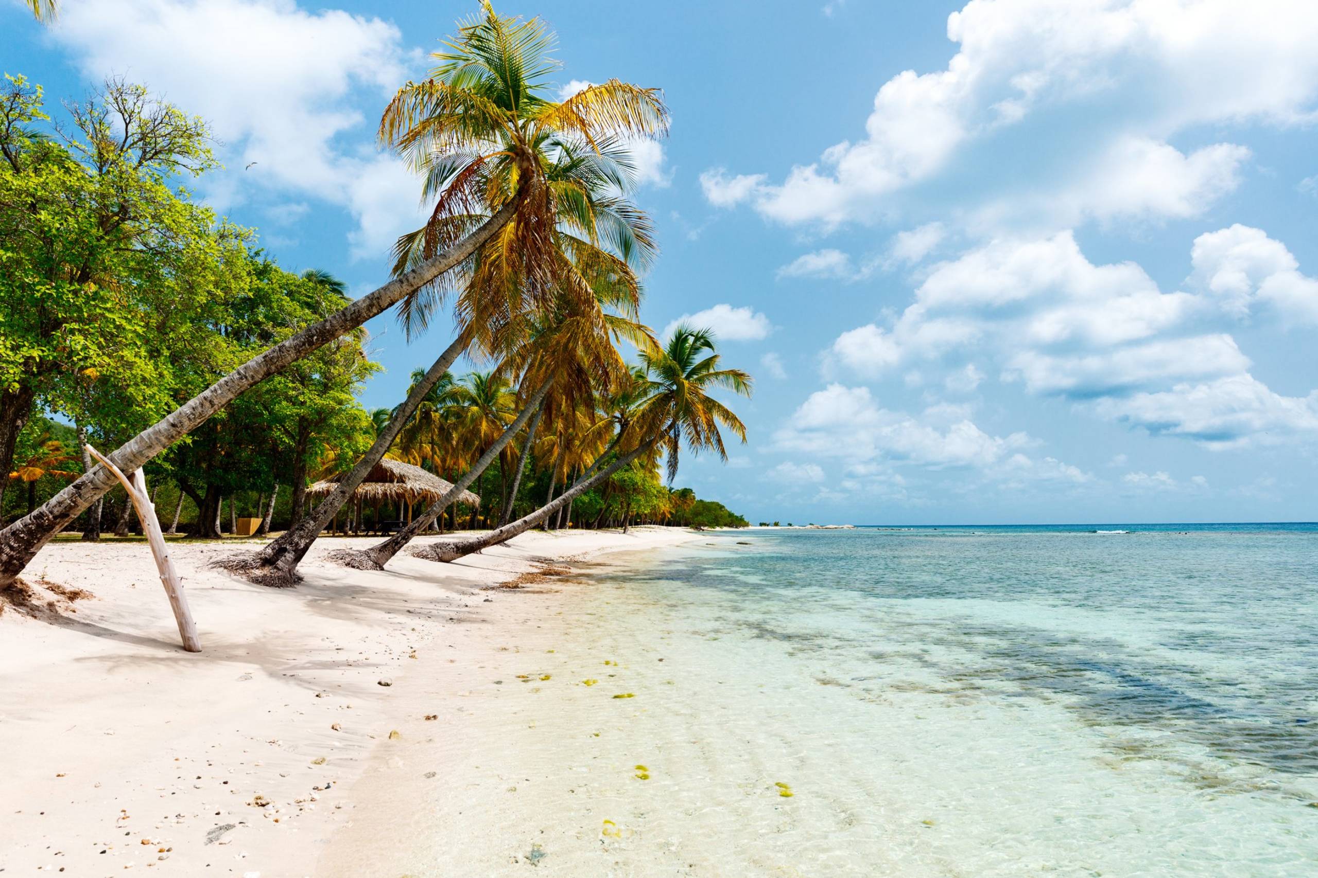 Mustique