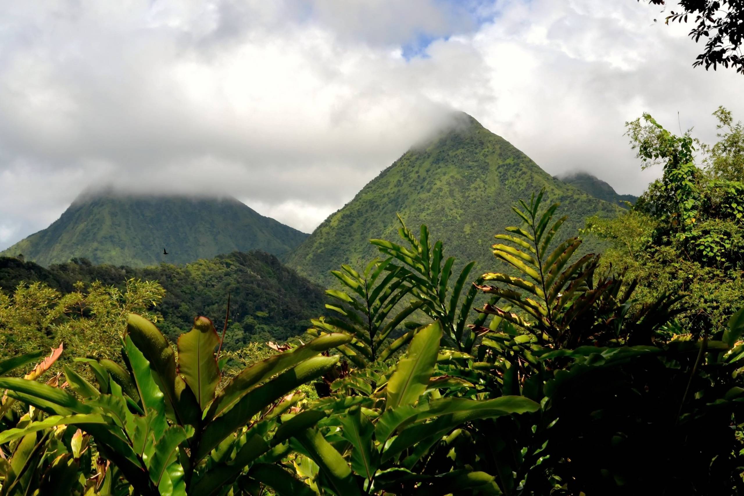 Martinique