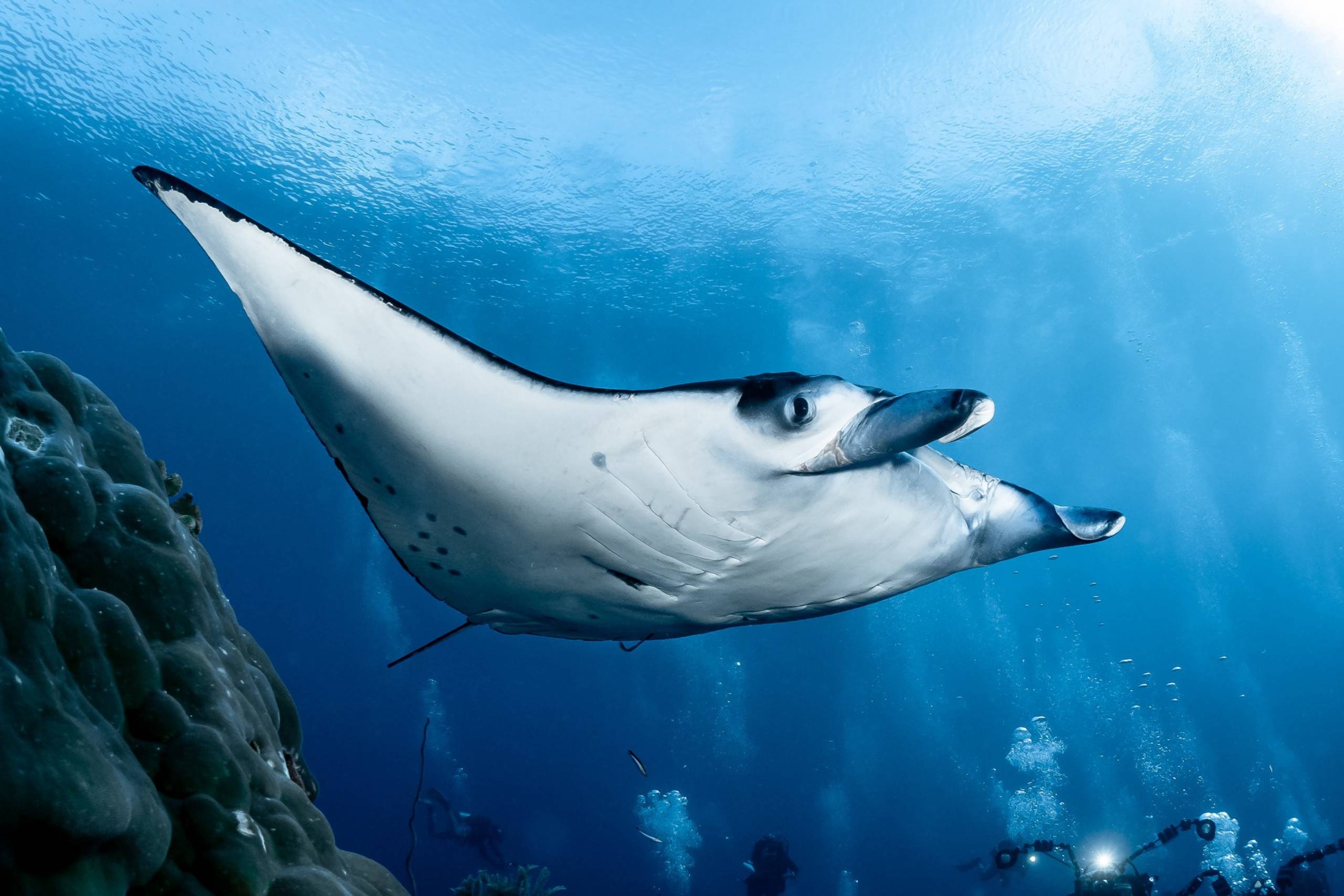 Tubbataha Reefs