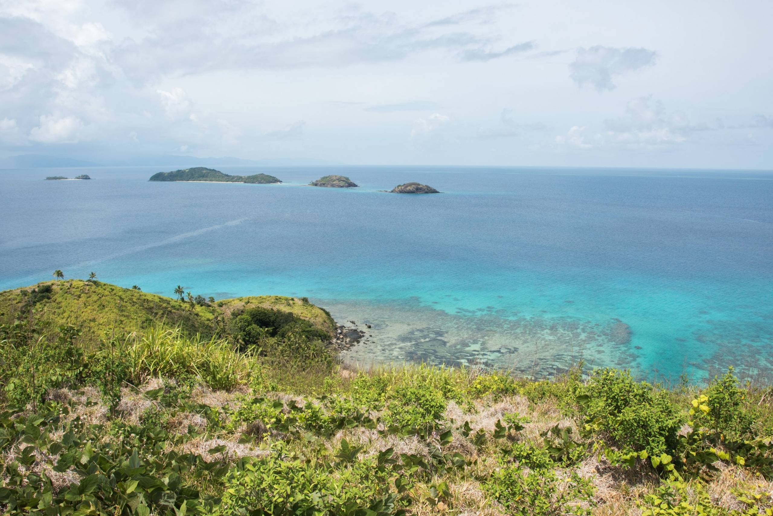 The Great Astrolabe Reef