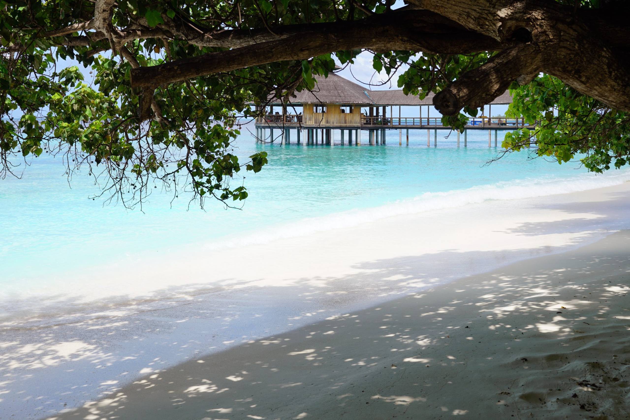 Dharavandhoo
