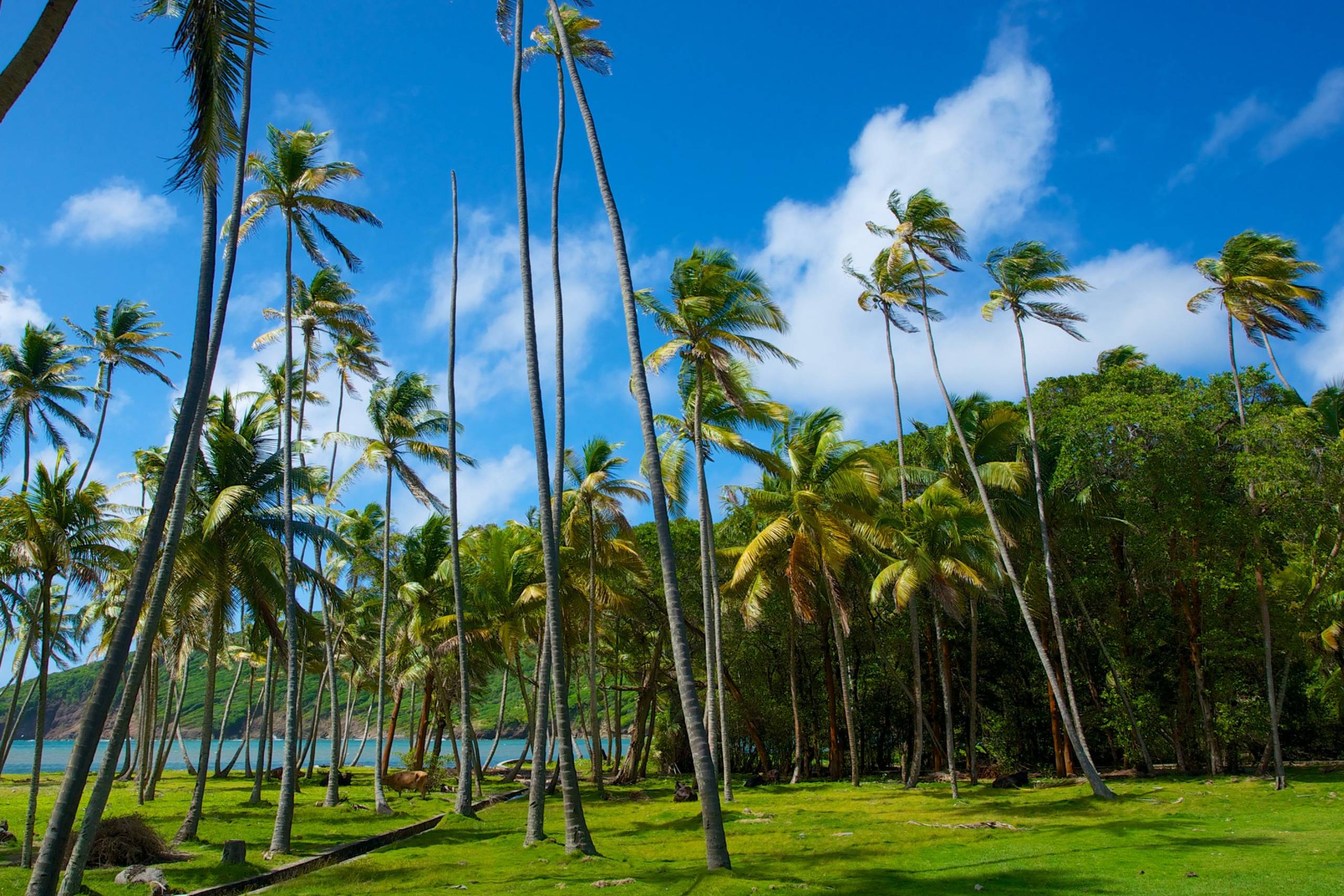 Bequia