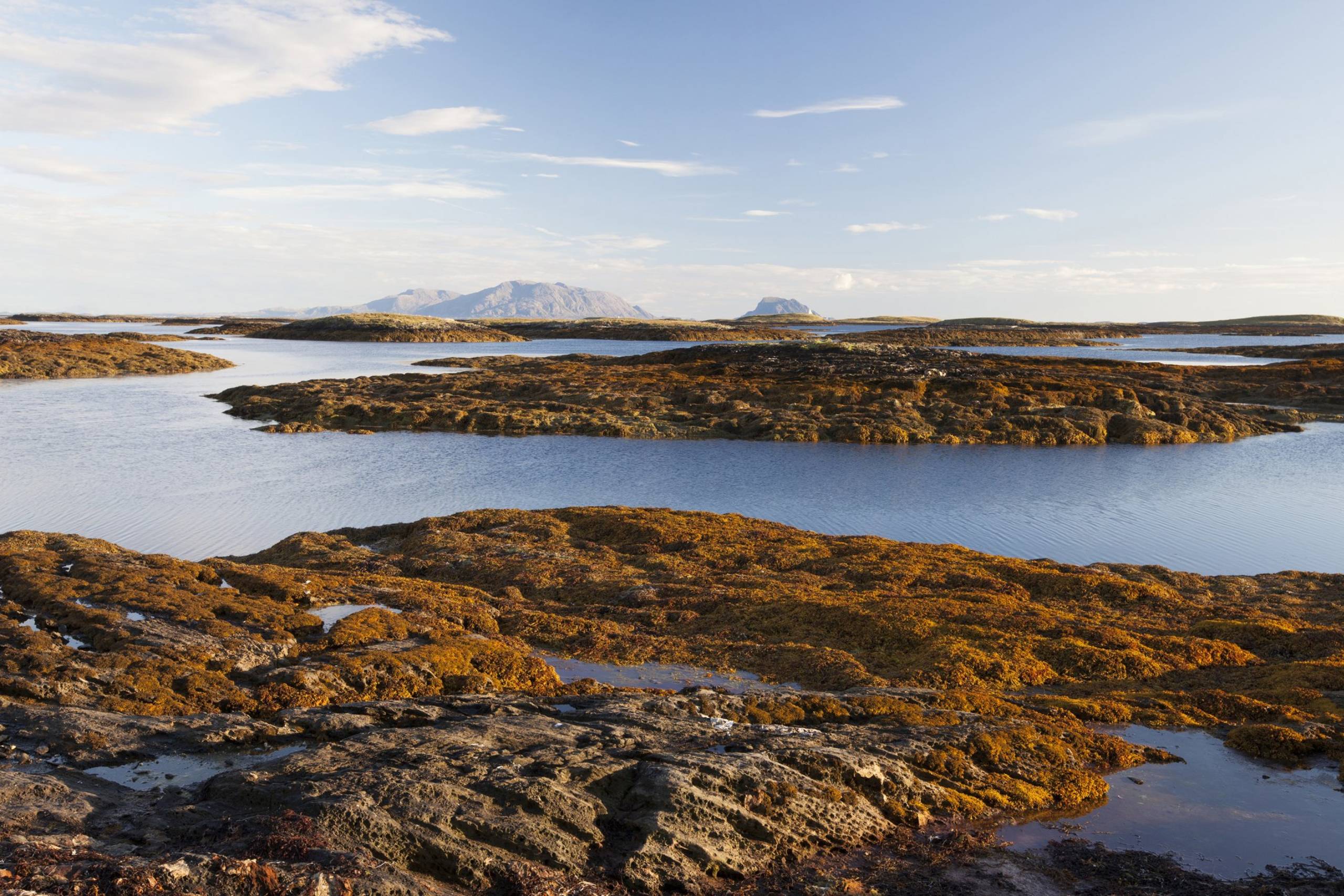 Rørvik