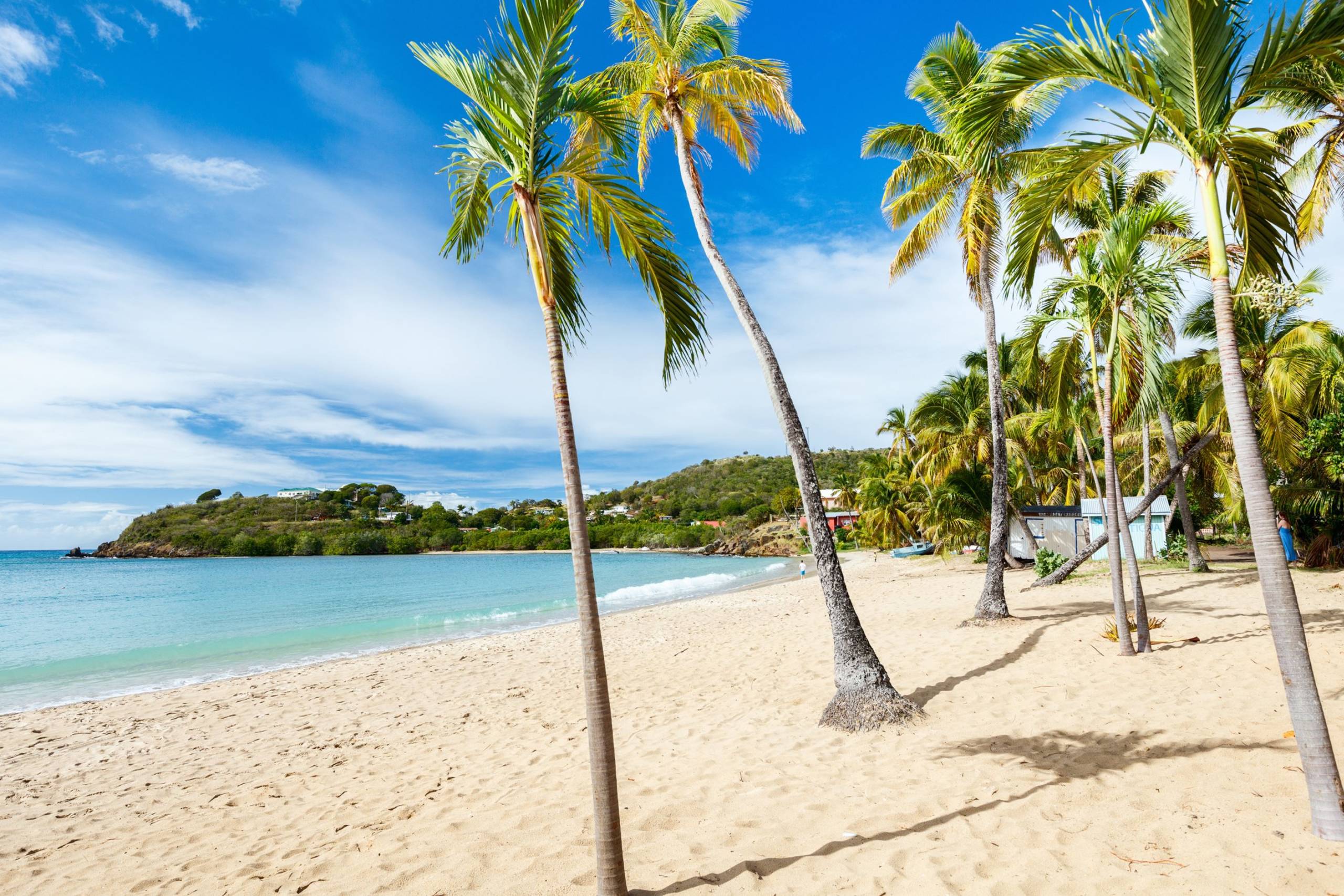 Carlisle Bay
