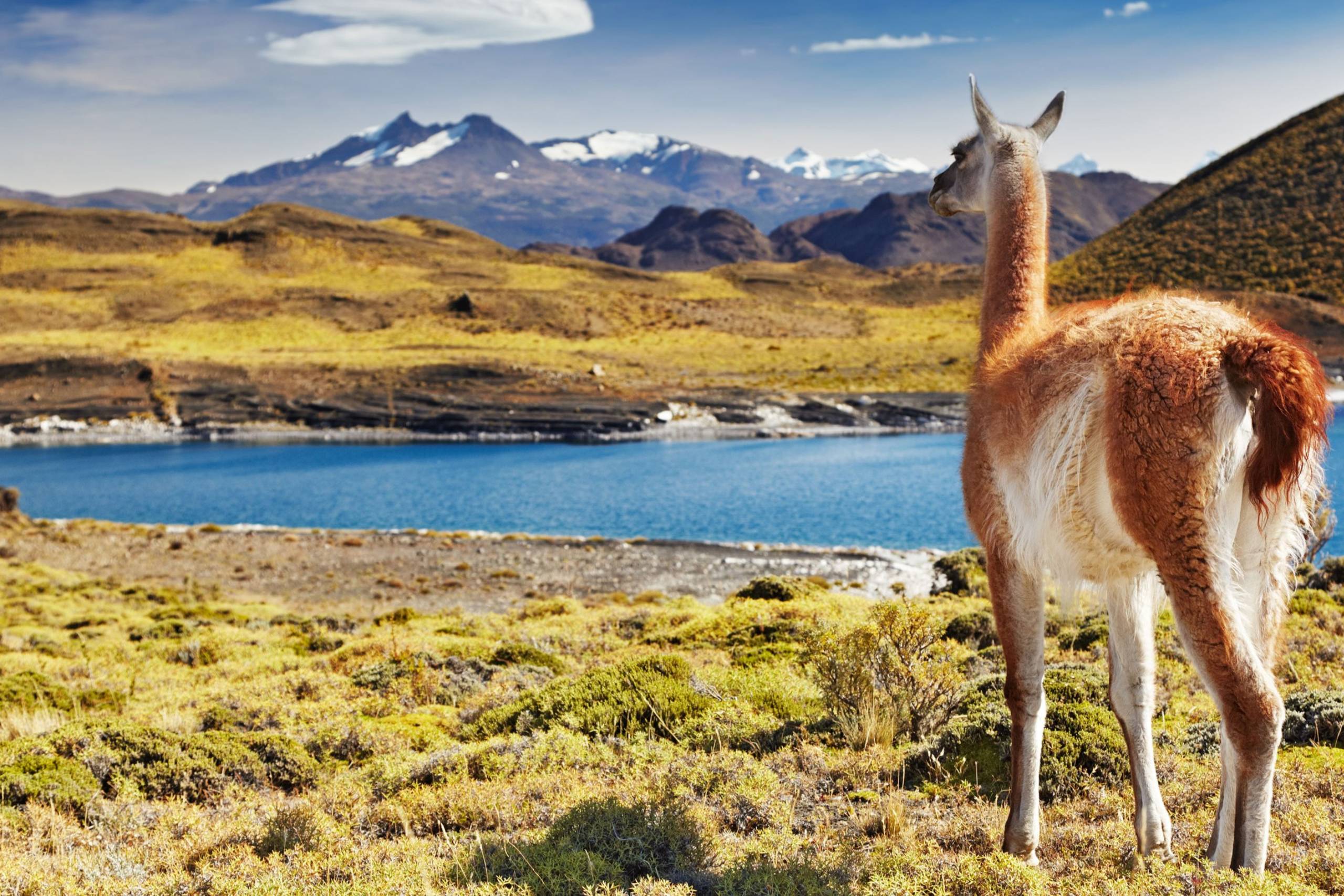 Torres del Paine