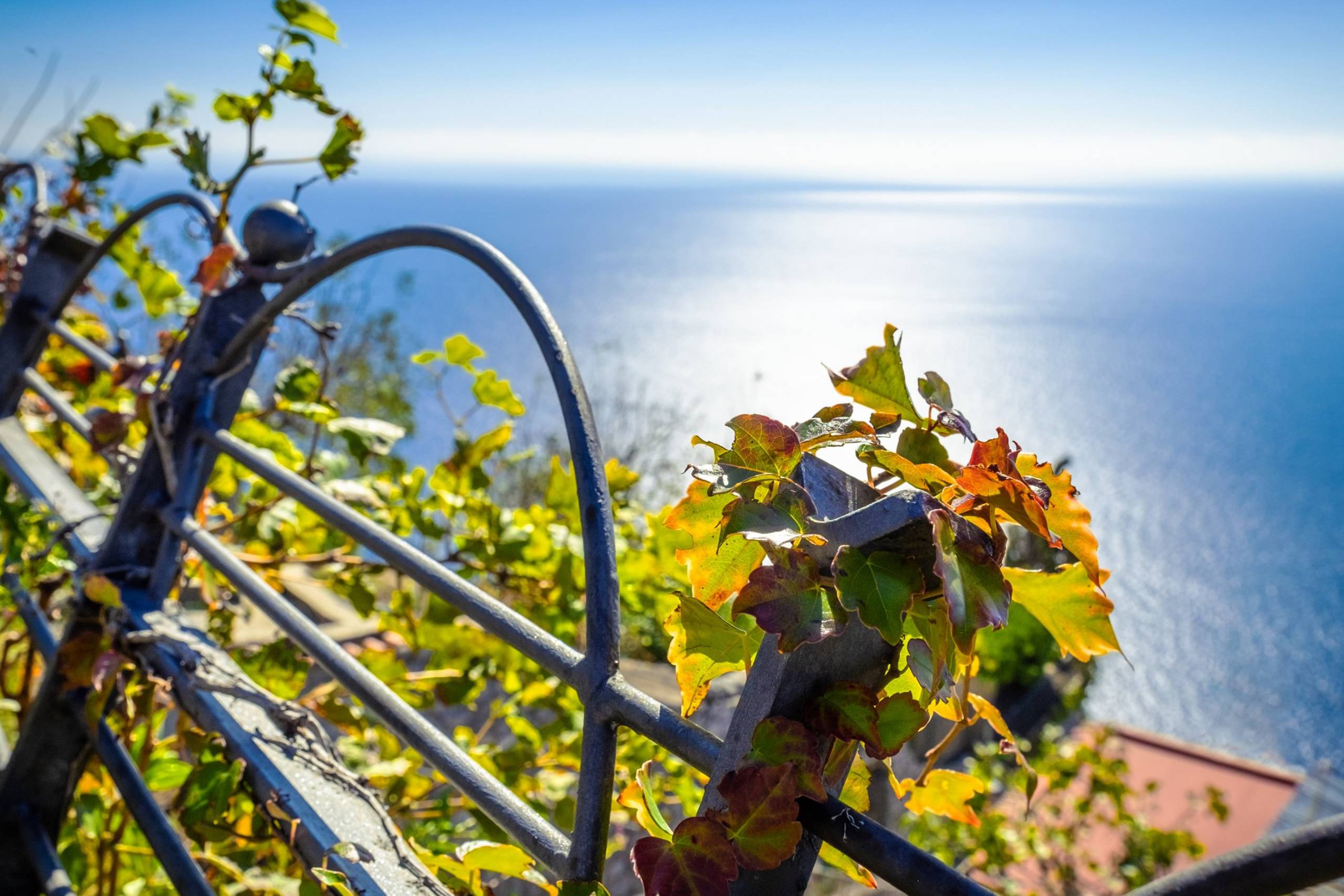 Amalfi and Les Sirenuses
